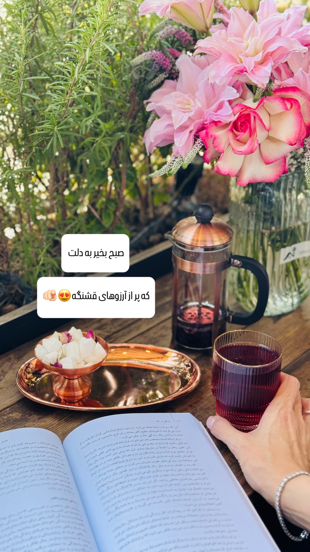  جدید ترین استوری اینستاگرام شیوا نصرتی