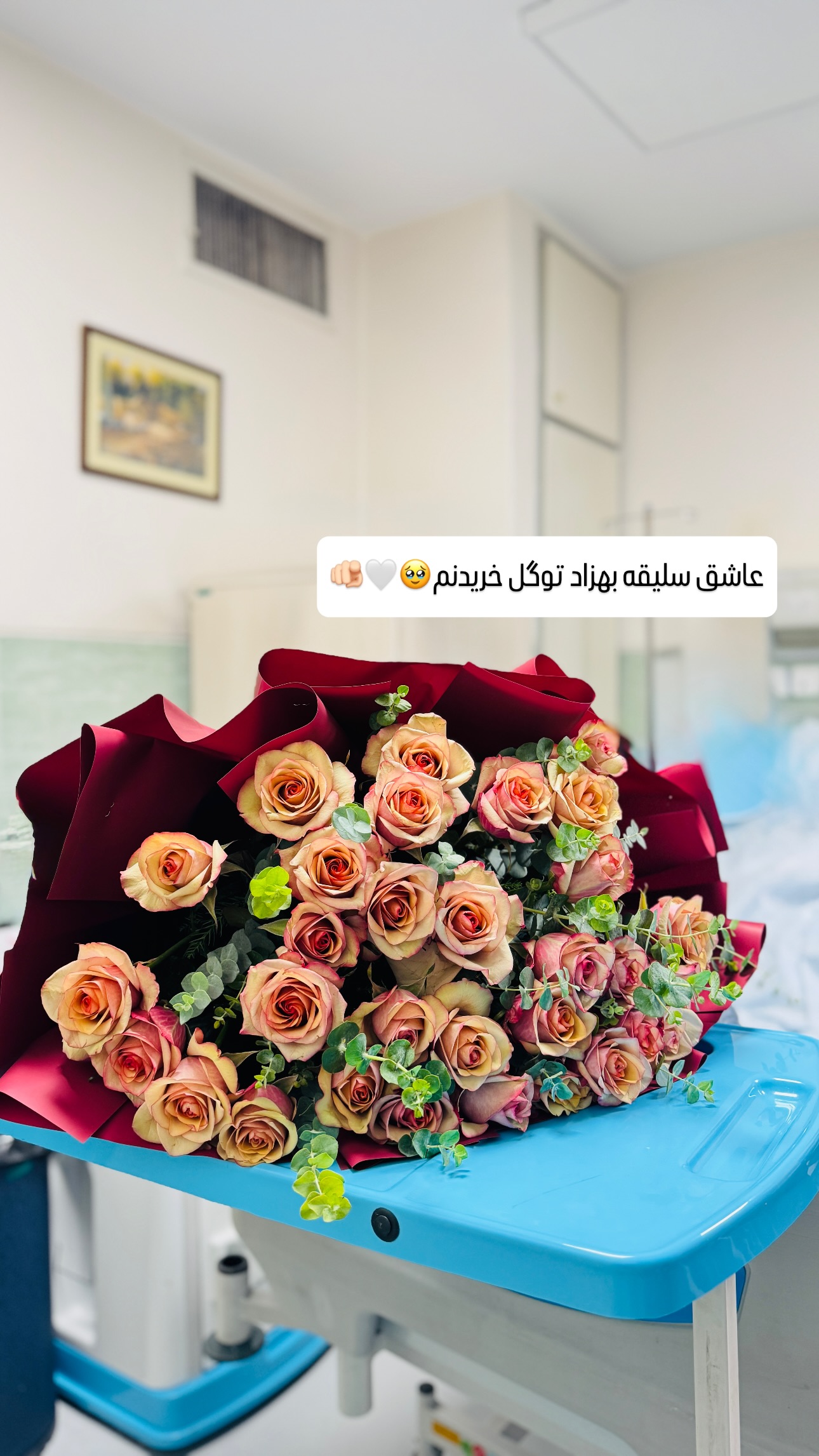  جدید ترین استوری اینستاگرام شیوا نصرتی