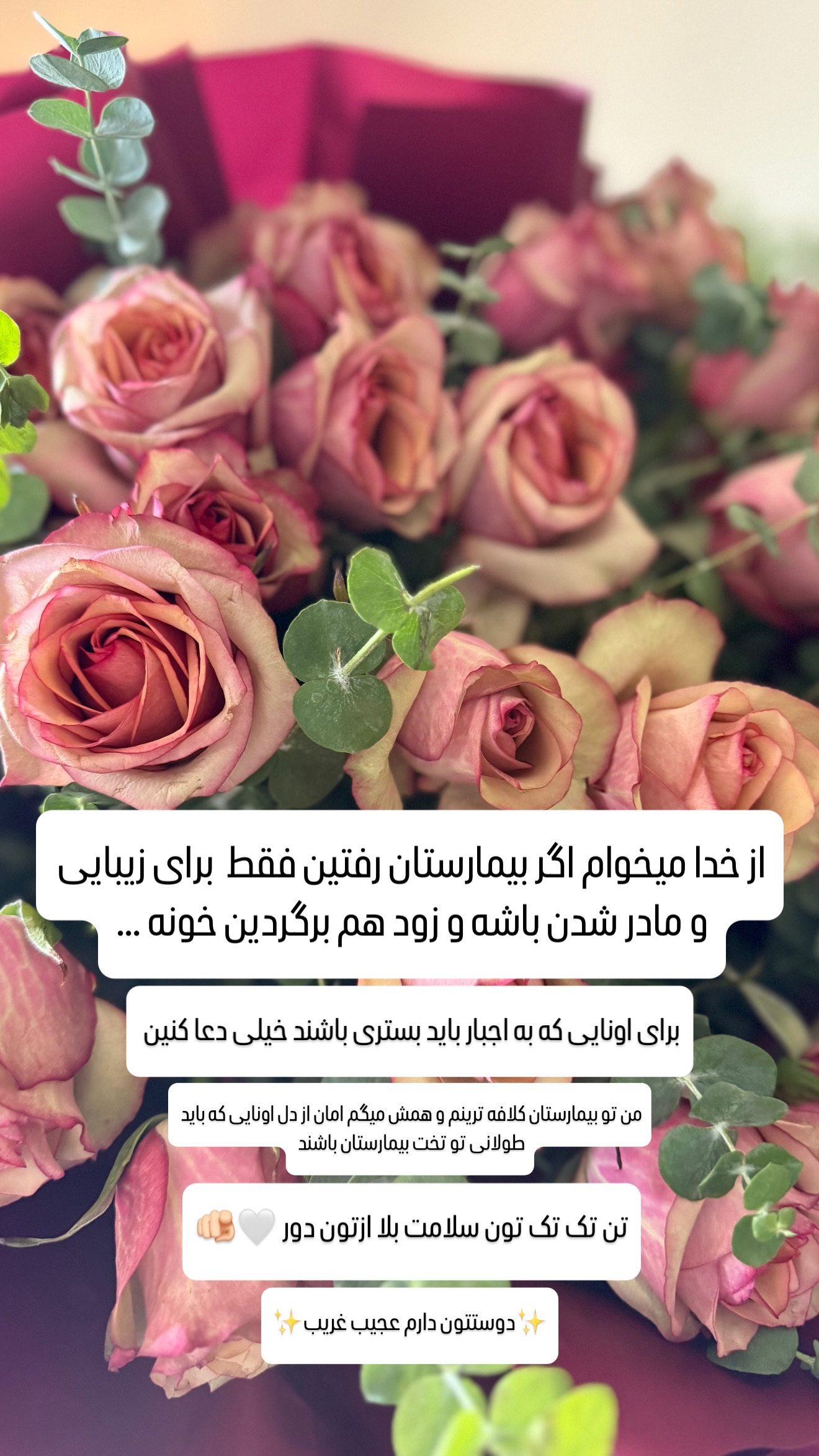  جدید ترین استوری اینستاگرام شیوا نصرتی