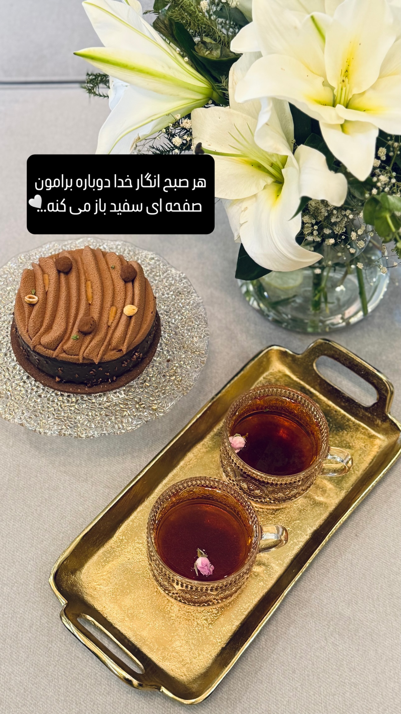  جدید ترین استوری اینستاگرام شیوا نصرتی