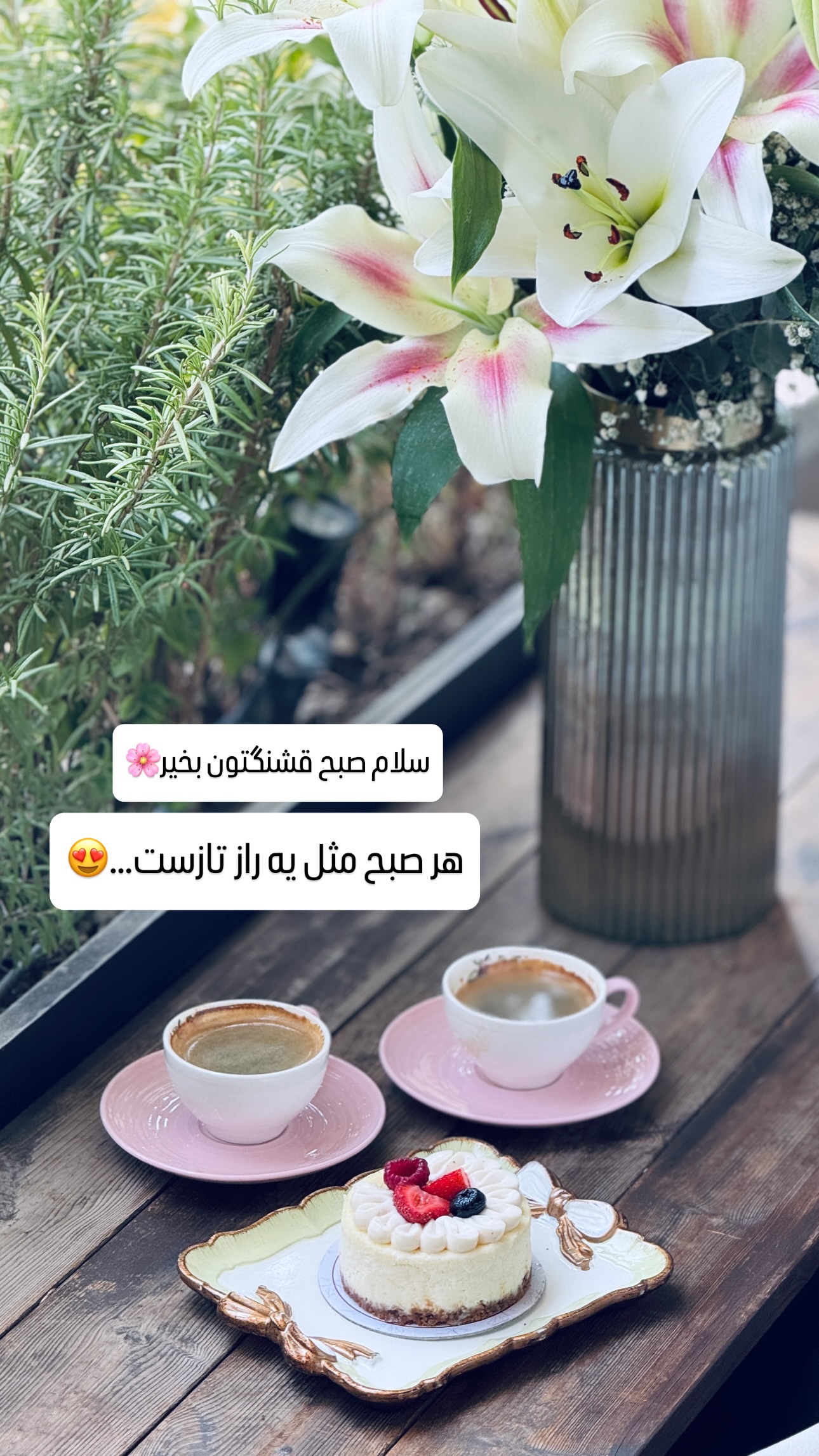  جدید ترین استوری اینستاگرام شیوا نصرتی