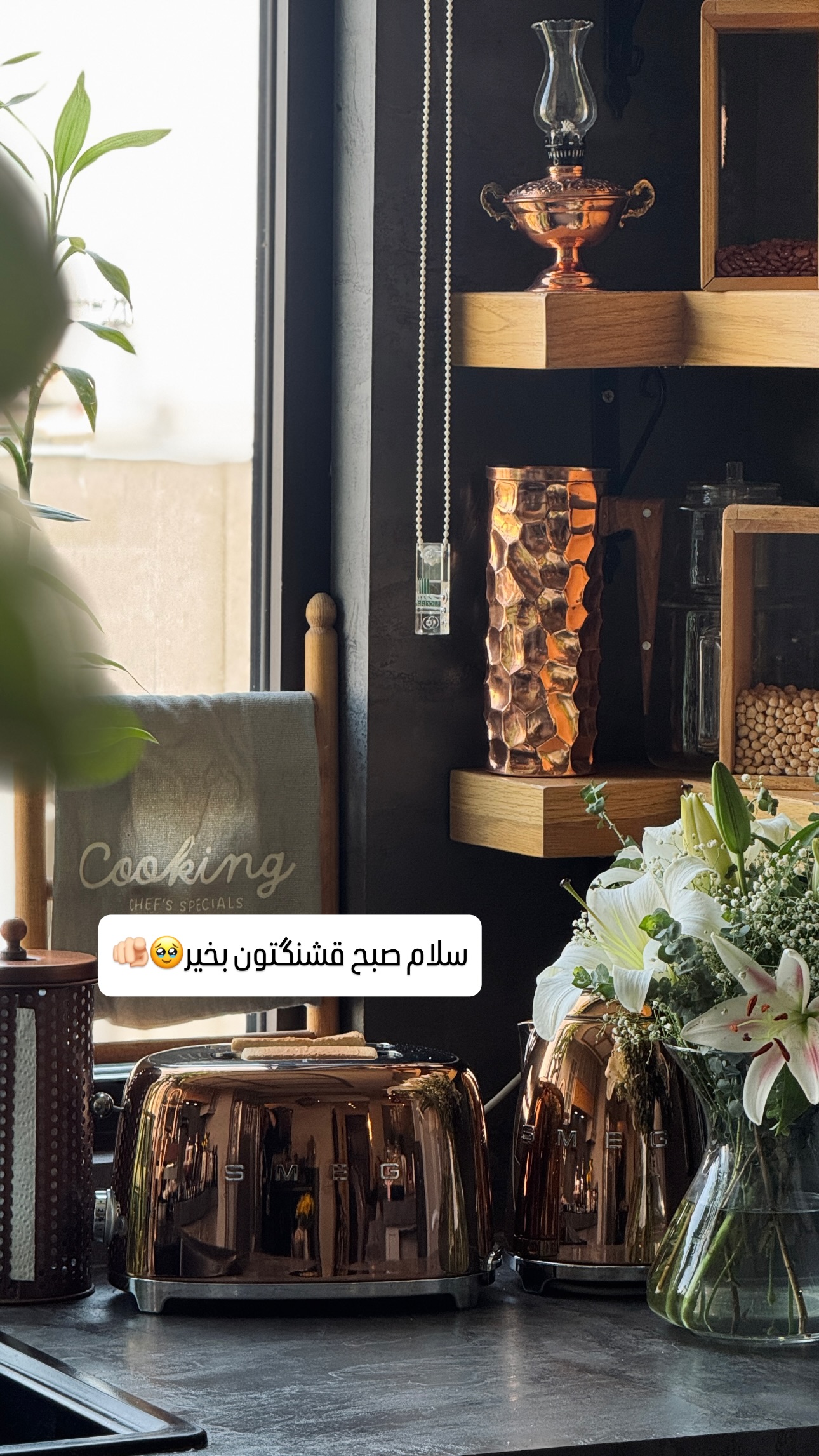  جدید ترین استوری اینستاگرام شیوا نصرتی