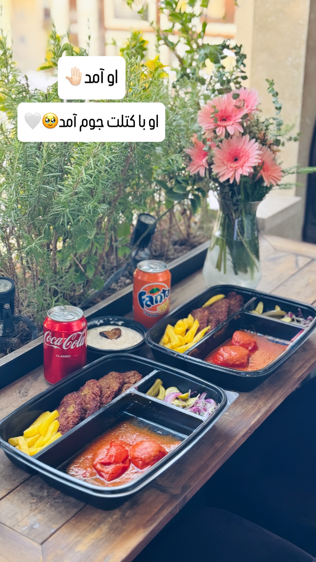  جدید ترین استوری اینستاگرام شیوا نصرتی