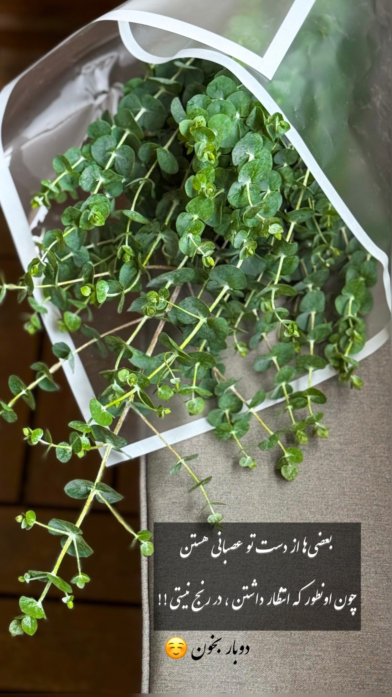  جدید ترین استوری اینستاگرام شیوا نصرتی