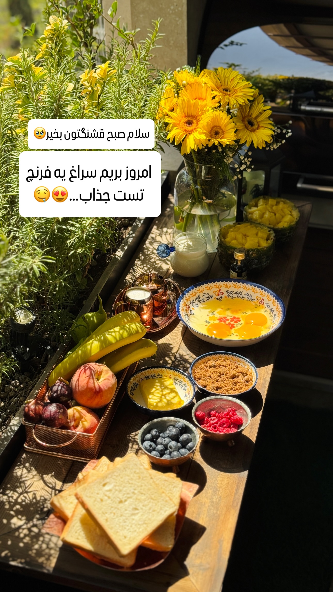  جدید ترین استوری اینستاگرام شیوا نصرتی
