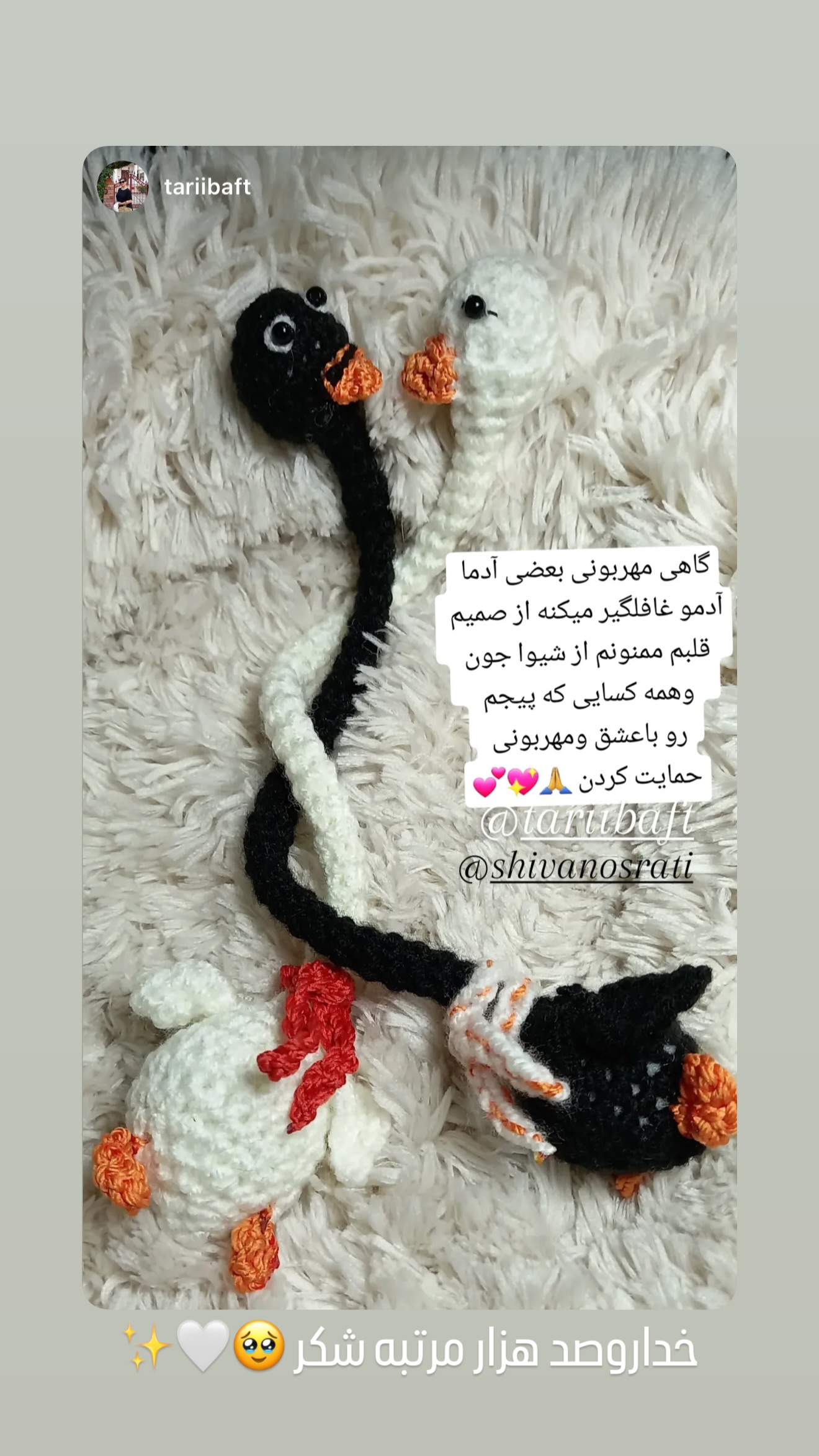  جدید ترین استوری اینستاگرام شیوا نصرتی