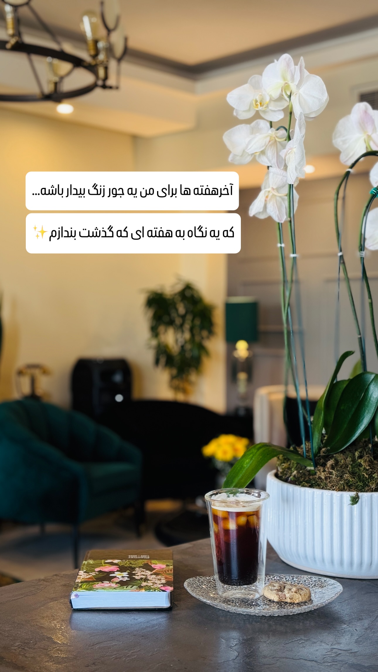  جدید ترین استوری اینستاگرام شیوا نصرتی