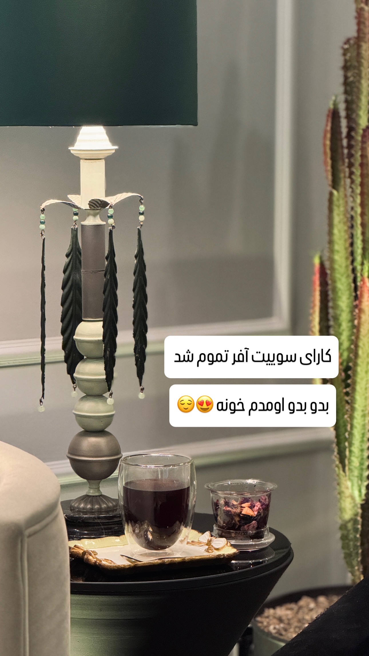  جدید ترین استوری اینستاگرام شیوا نصرتی
