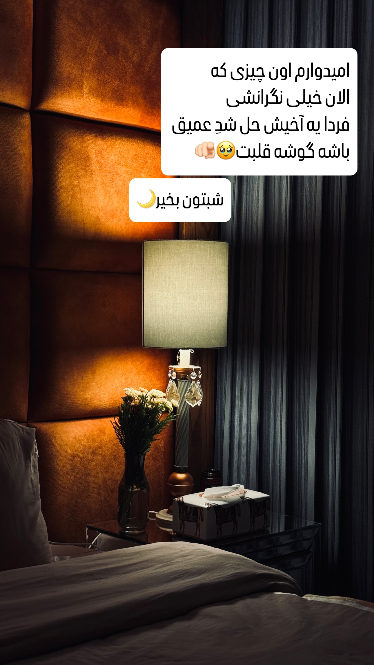  جدید ترین استوری اینستاگرام شیوا نصرتی