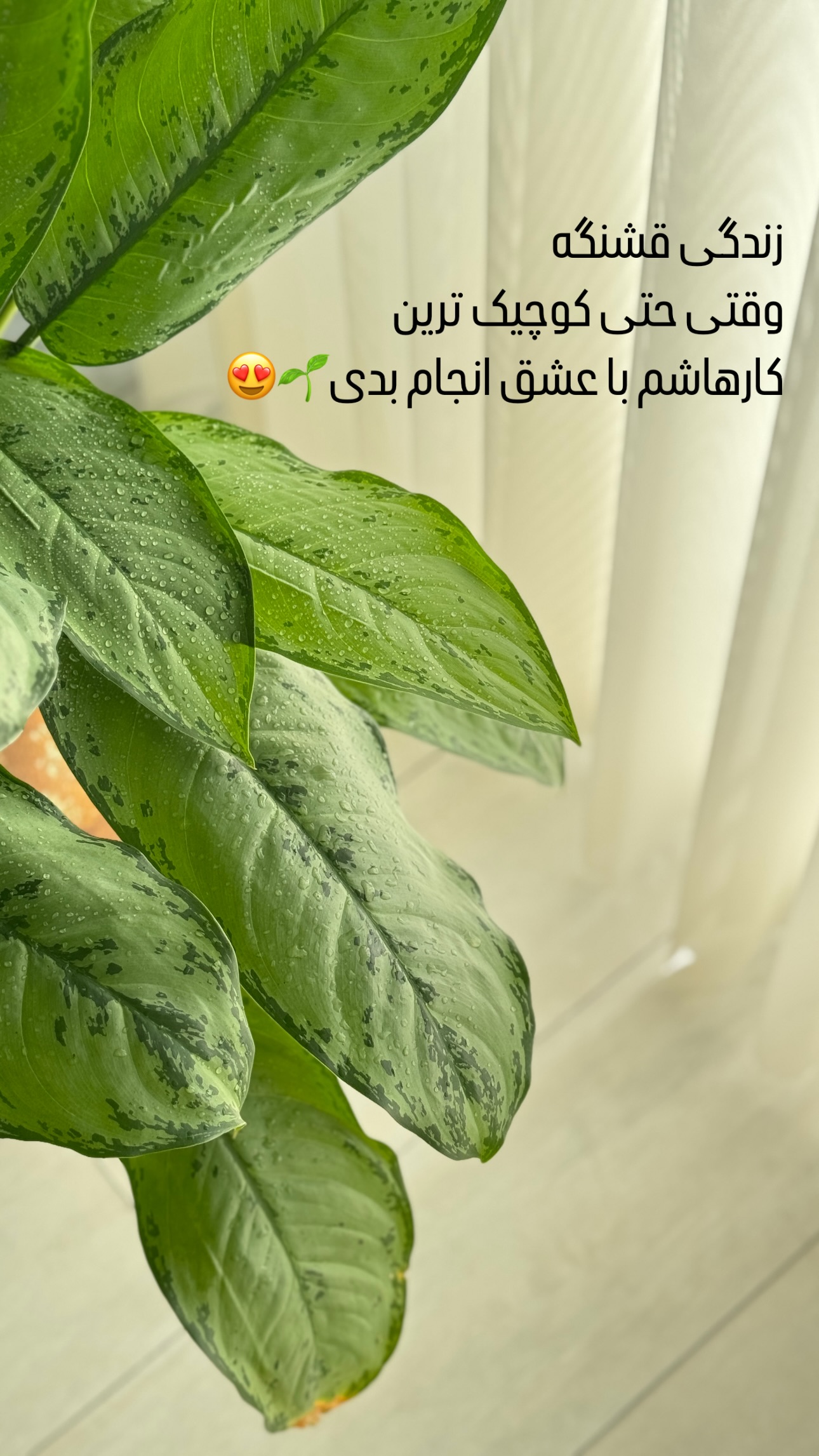  جدید ترین استوری اینستاگرام شیوا نصرتی