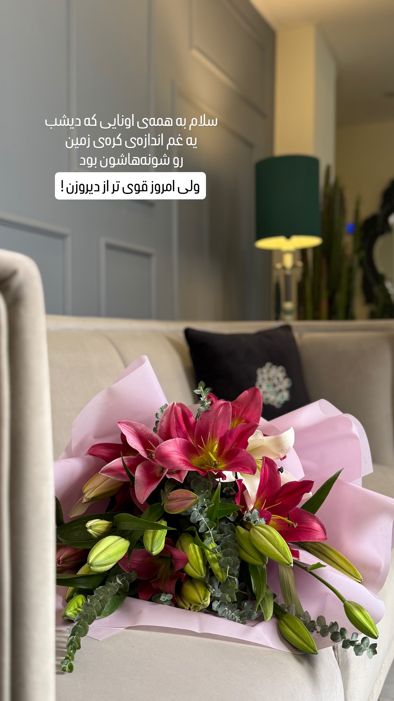  جدید ترین استوری اینستاگرام شیوا نصرتی
