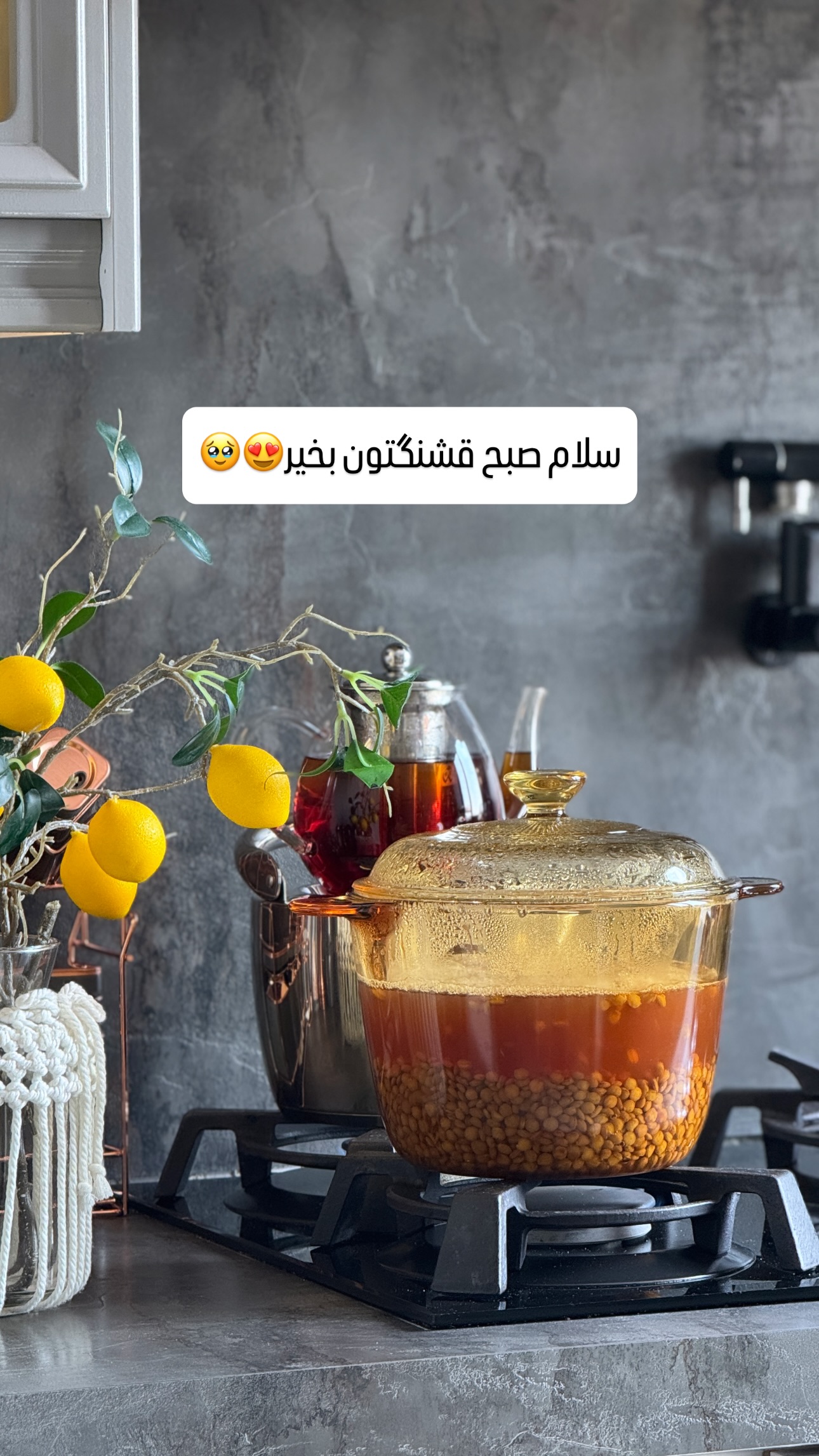  جدید ترین استوری اینستاگرام شیوا نصرتی