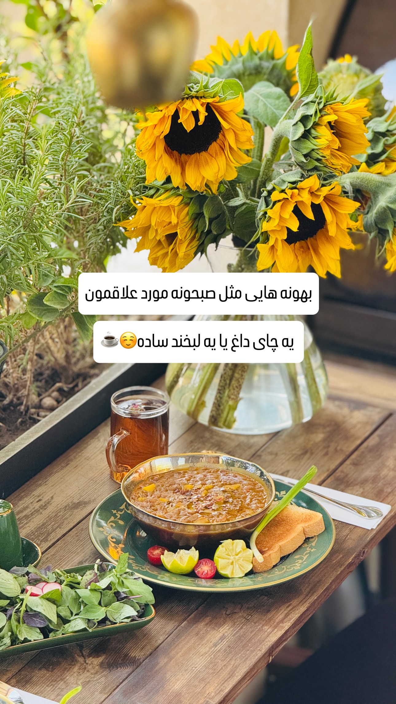  جدید ترین استوری اینستاگرام شیوا نصرتی