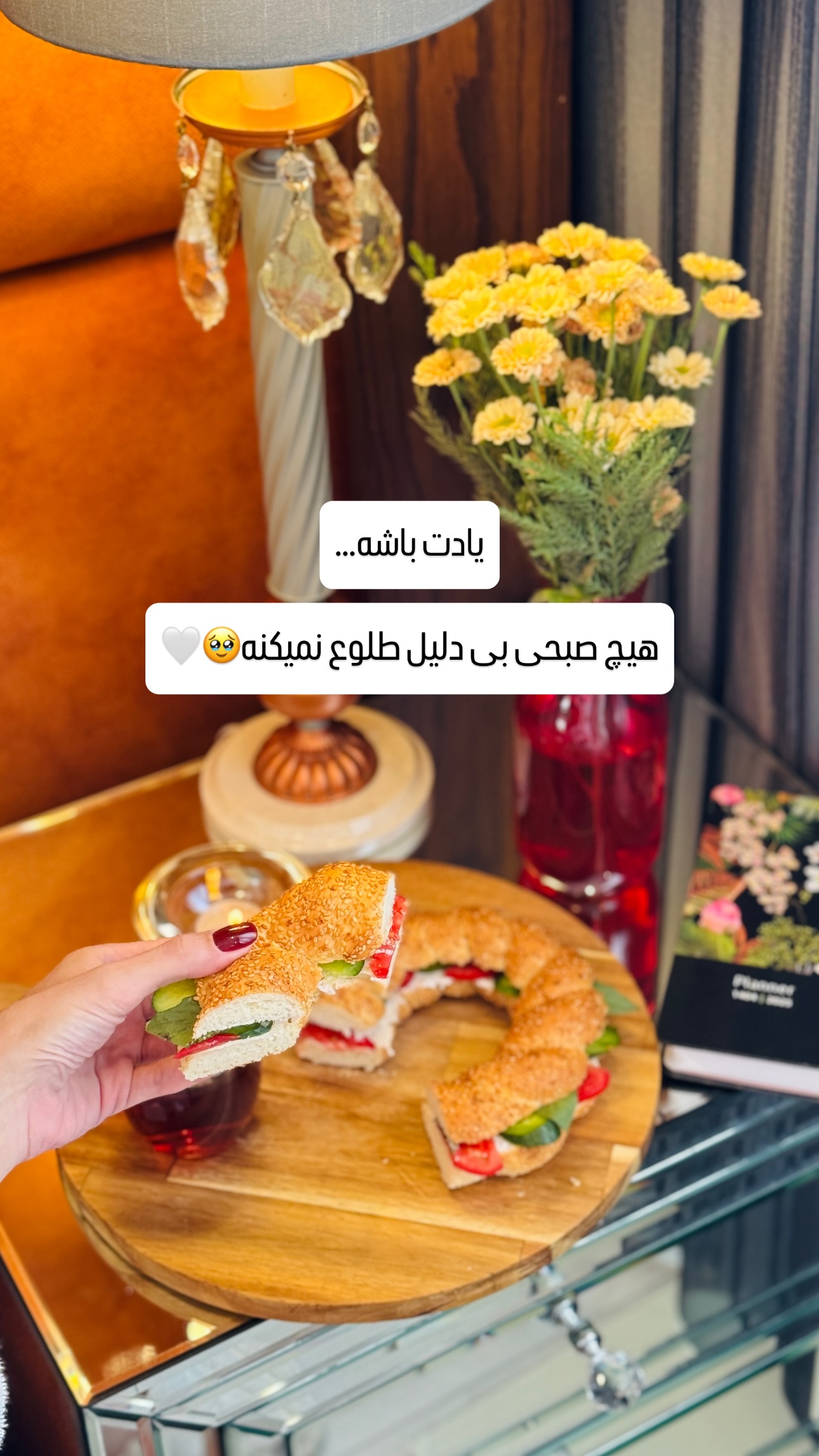  جدید ترین استوری اینستاگرام شیوا نصرتی