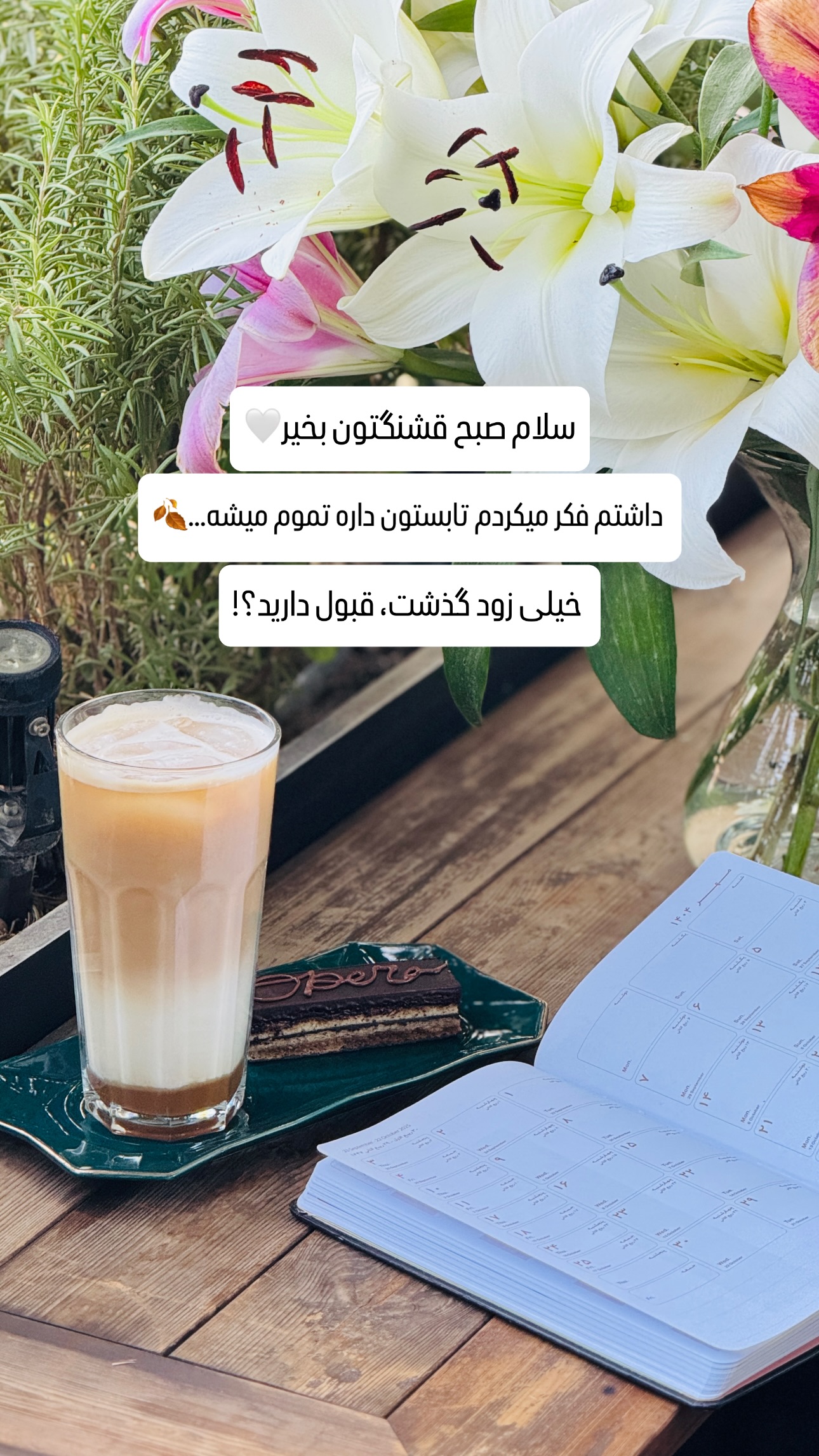  جدید ترین استوری اینستاگرام شیوا نصرتی