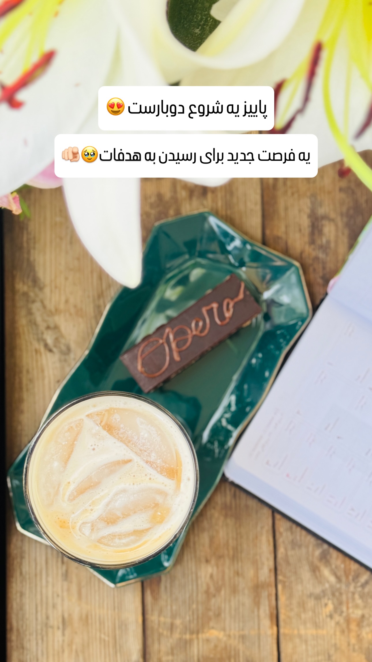  جدید ترین استوری اینستاگرام شیوا نصرتی