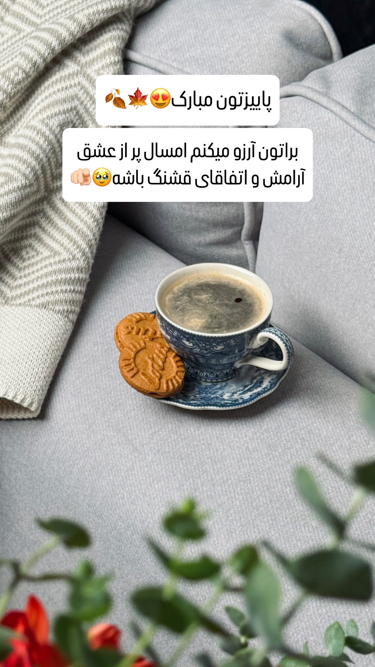  جدید ترین استوری اینستاگرام شیوا نصرتی