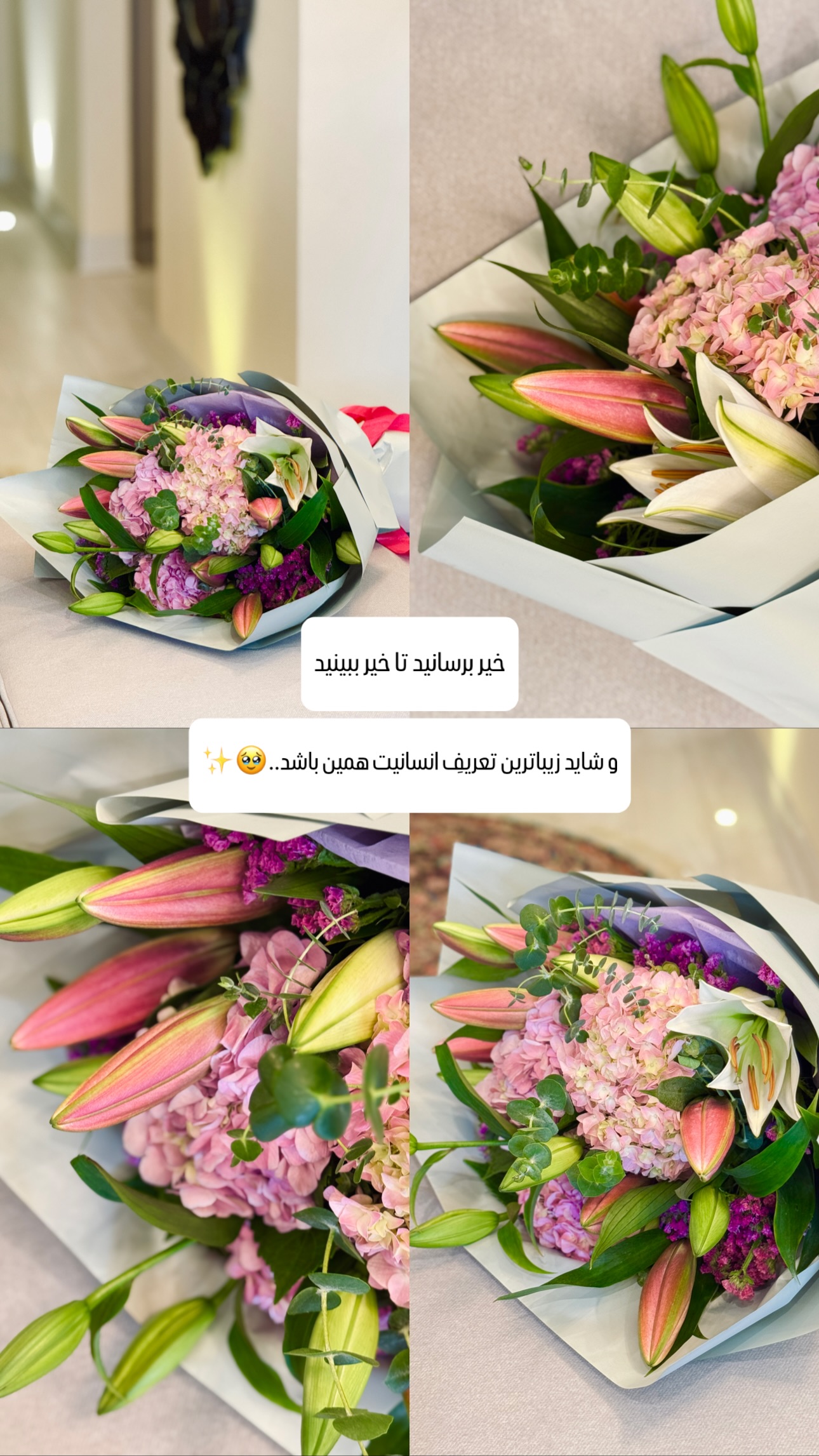  جدید ترین استوری اینستاگرام شیوا نصرتی
