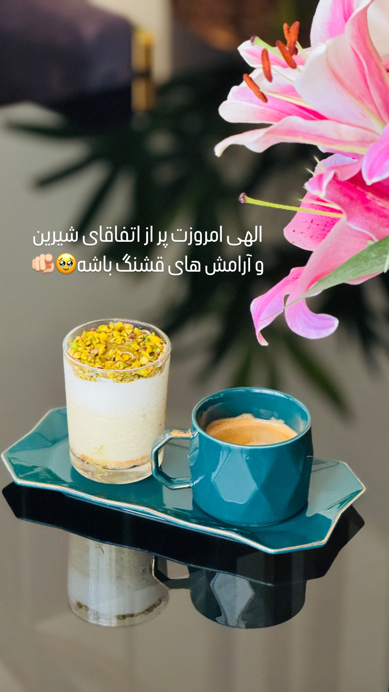  جدید ترین استوری اینستاگرام شیوا نصرتی