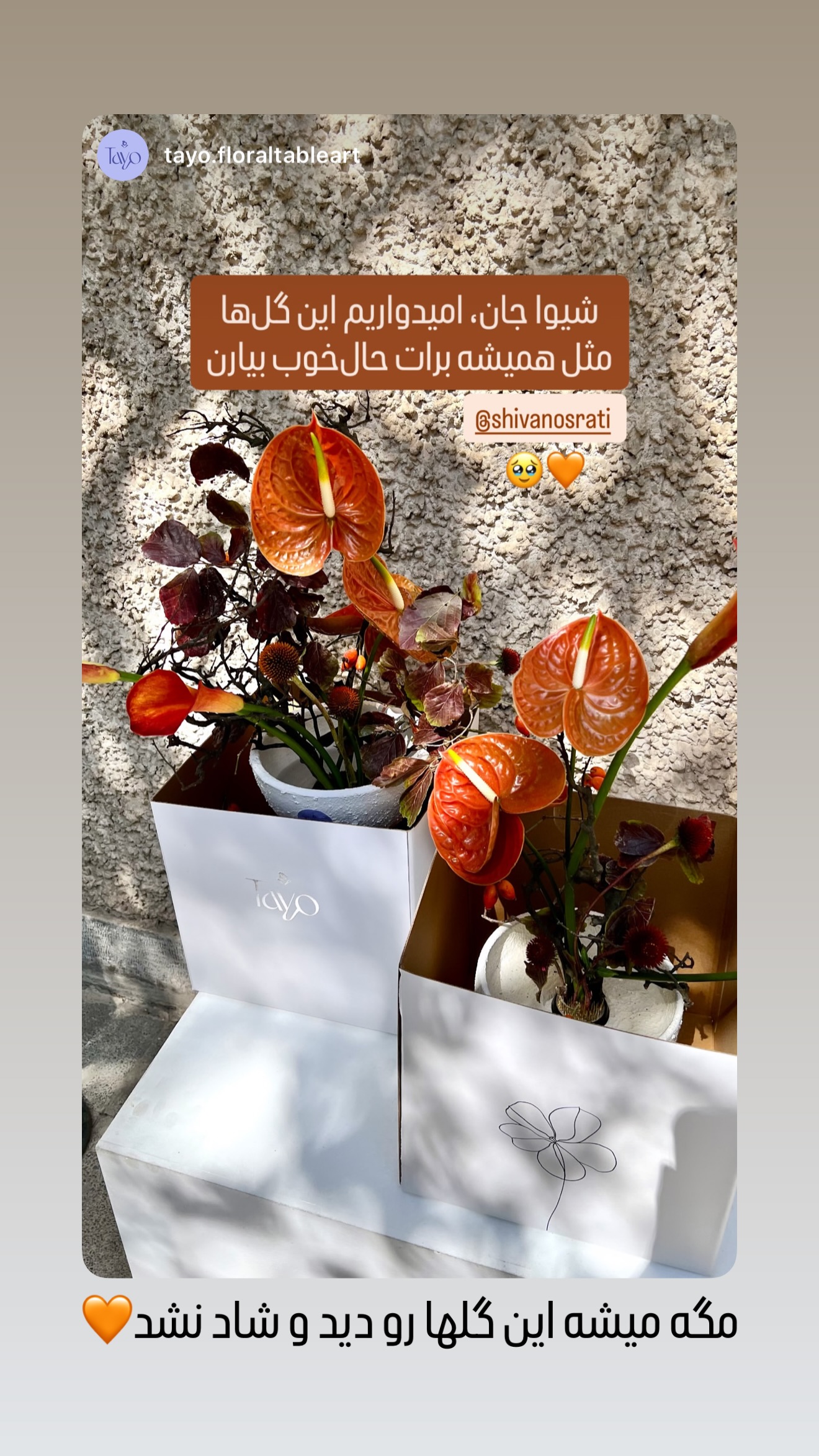  جدید ترین استوری اینستاگرام شیوا نصرتی