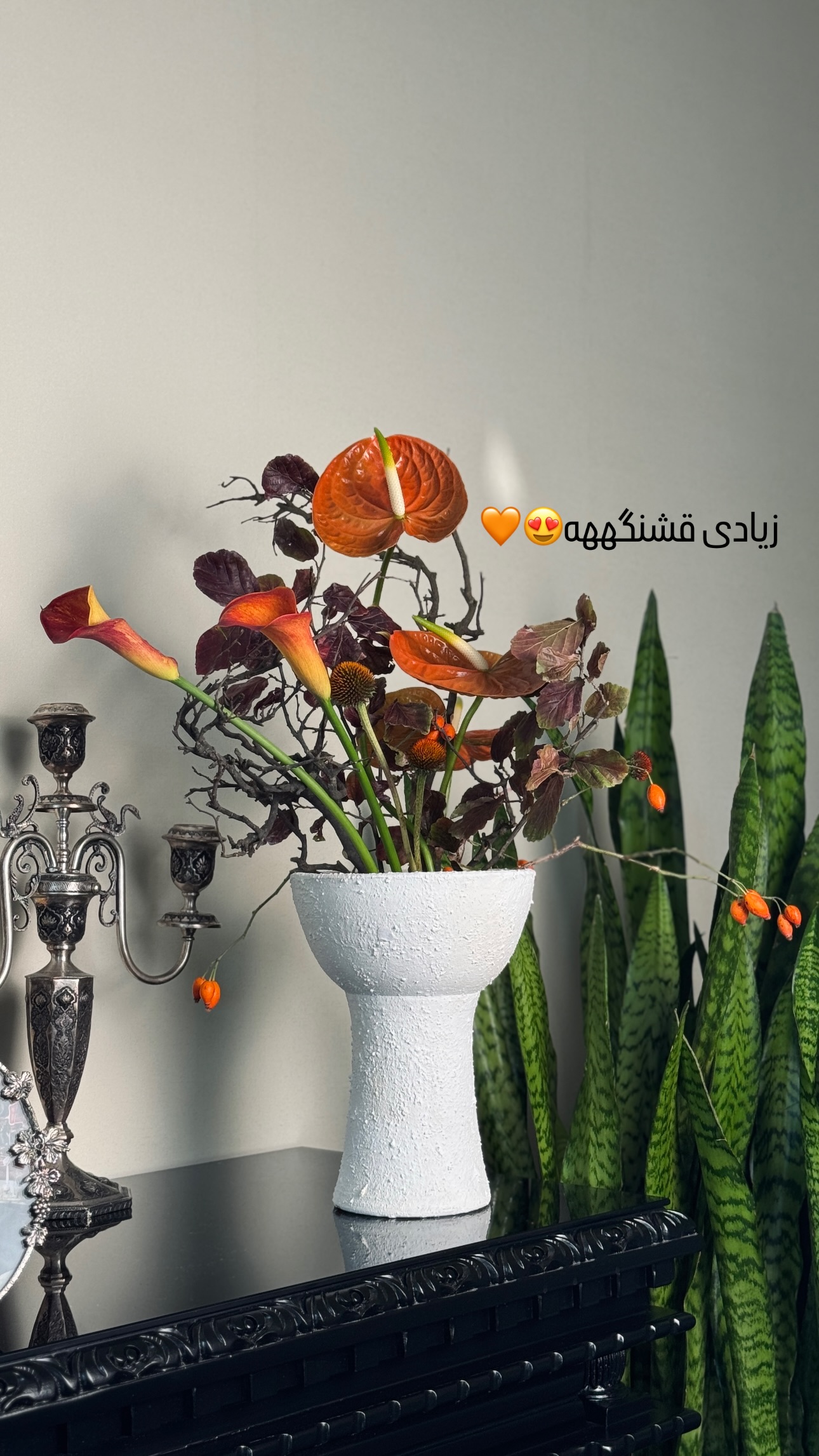  جدید ترین استوری اینستاگرام شیوا نصرتی