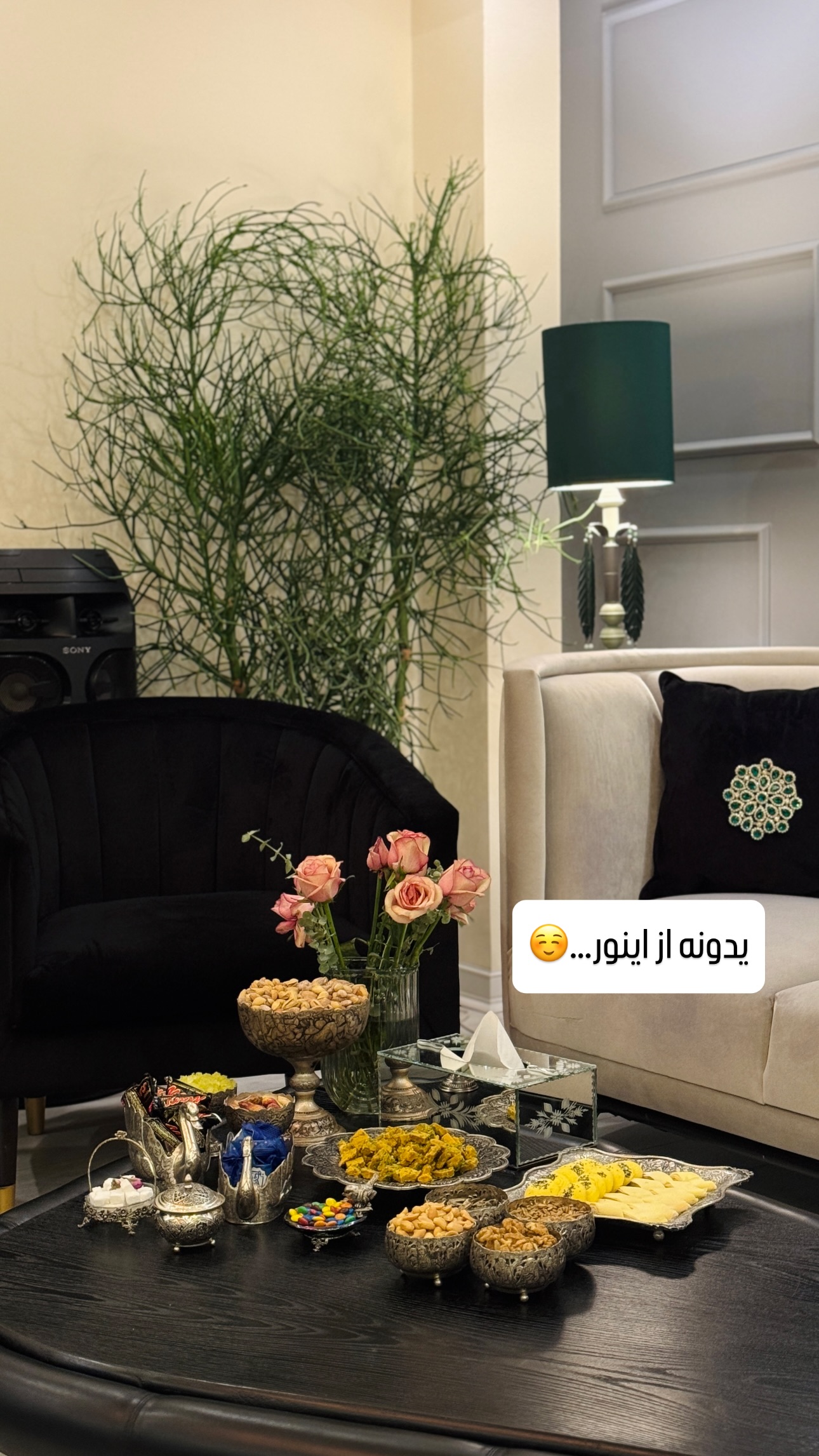  جدید ترین استوری اینستاگرام شیوا نصرتی