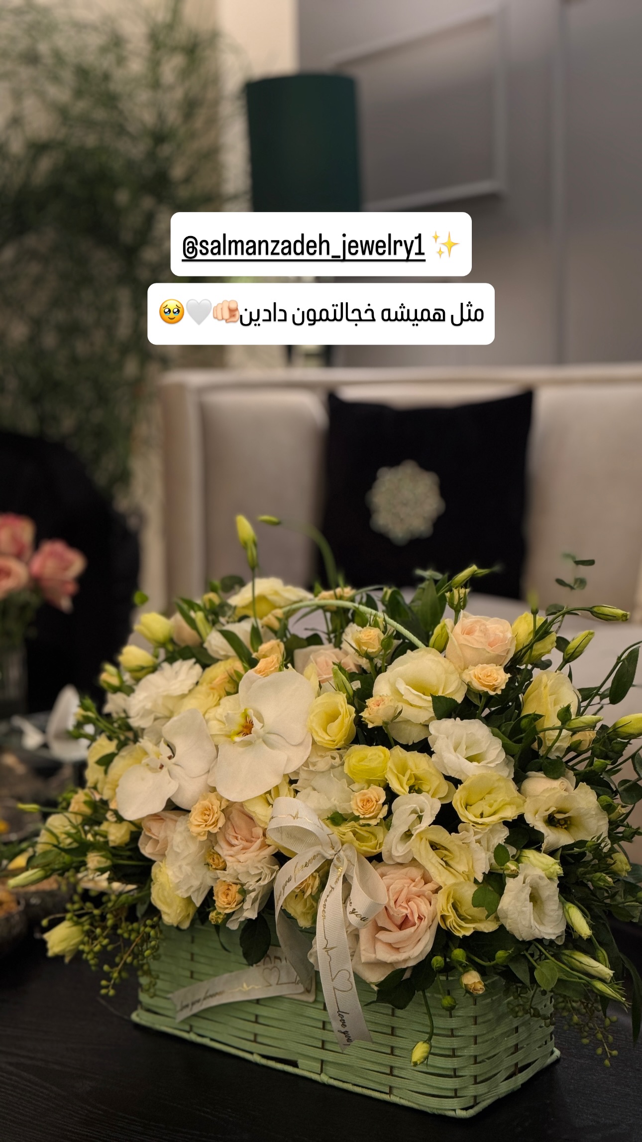  جدید ترین استوری اینستاگرام شیوا نصرتی
