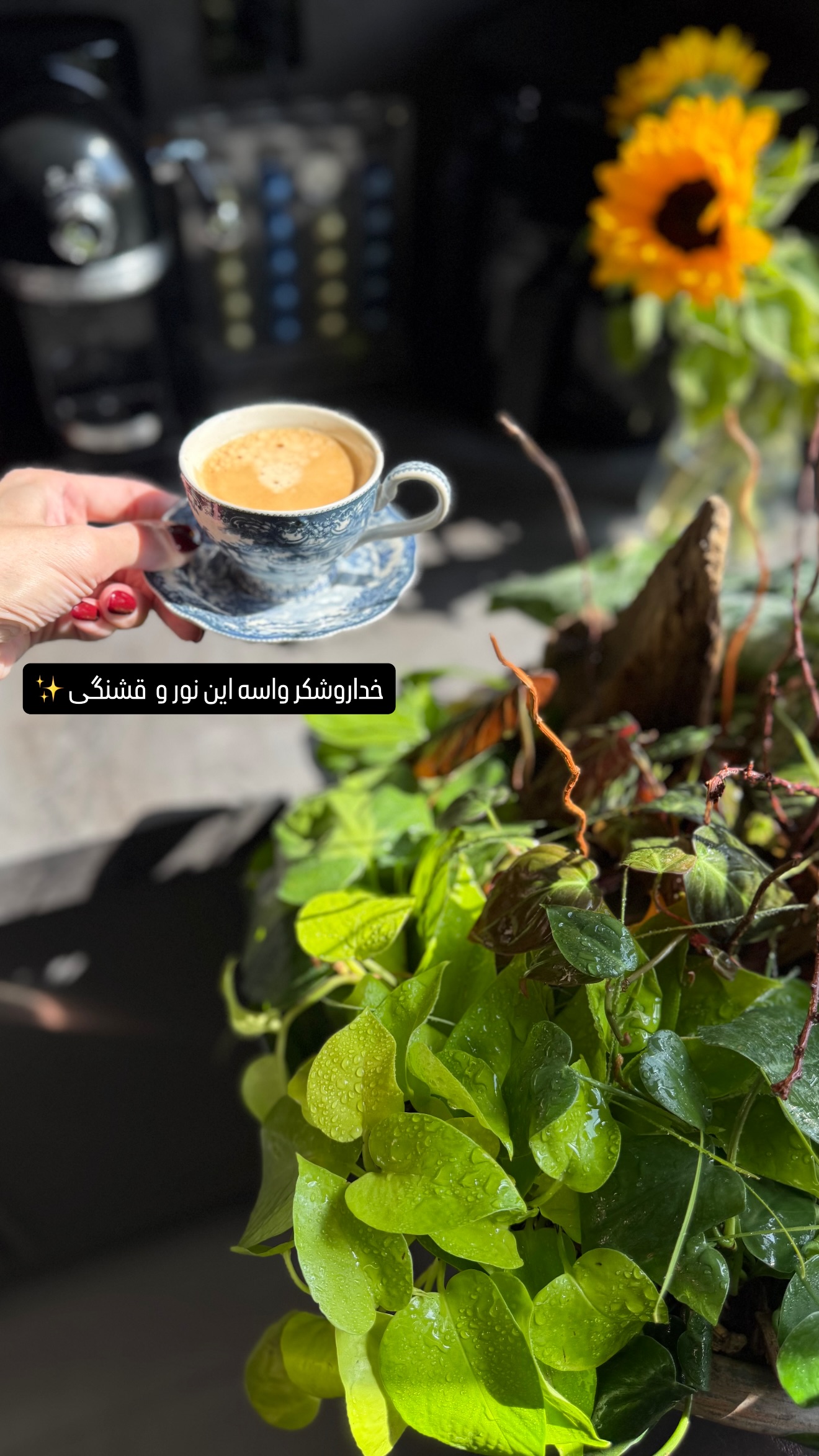  جدید ترین استوری اینستاگرام شیوا نصرتی