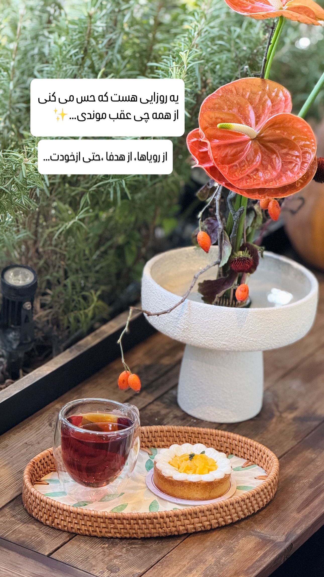  جدید ترین استوری اینستاگرام شیوا نصرتی