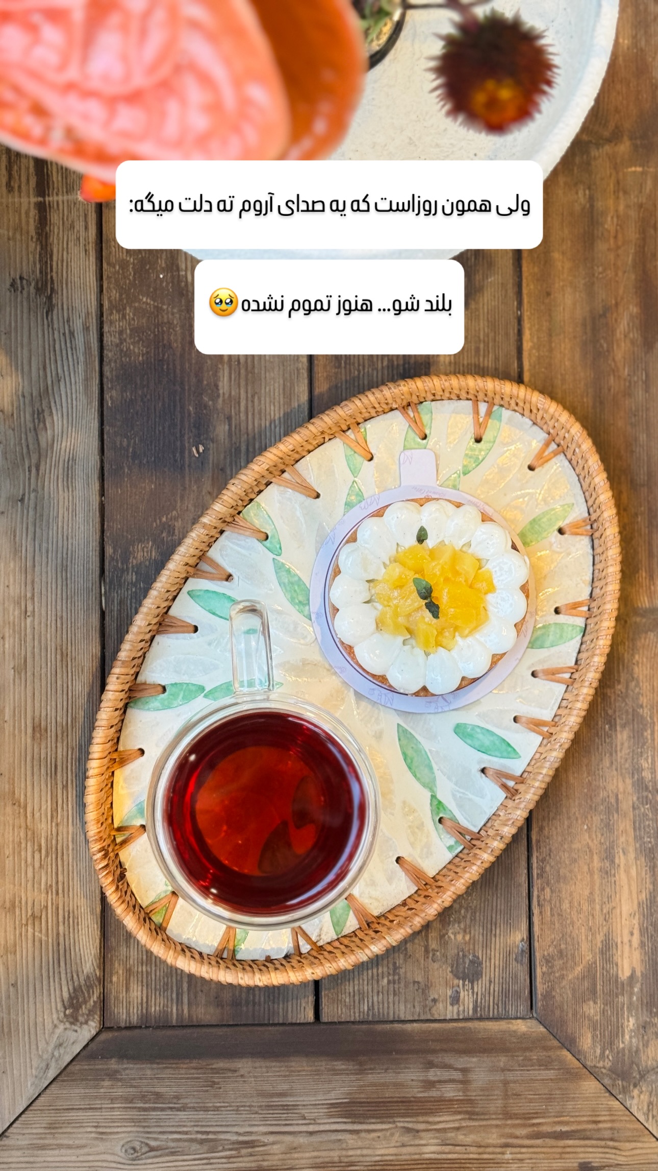  جدید ترین استوری اینستاگرام شیوا نصرتی