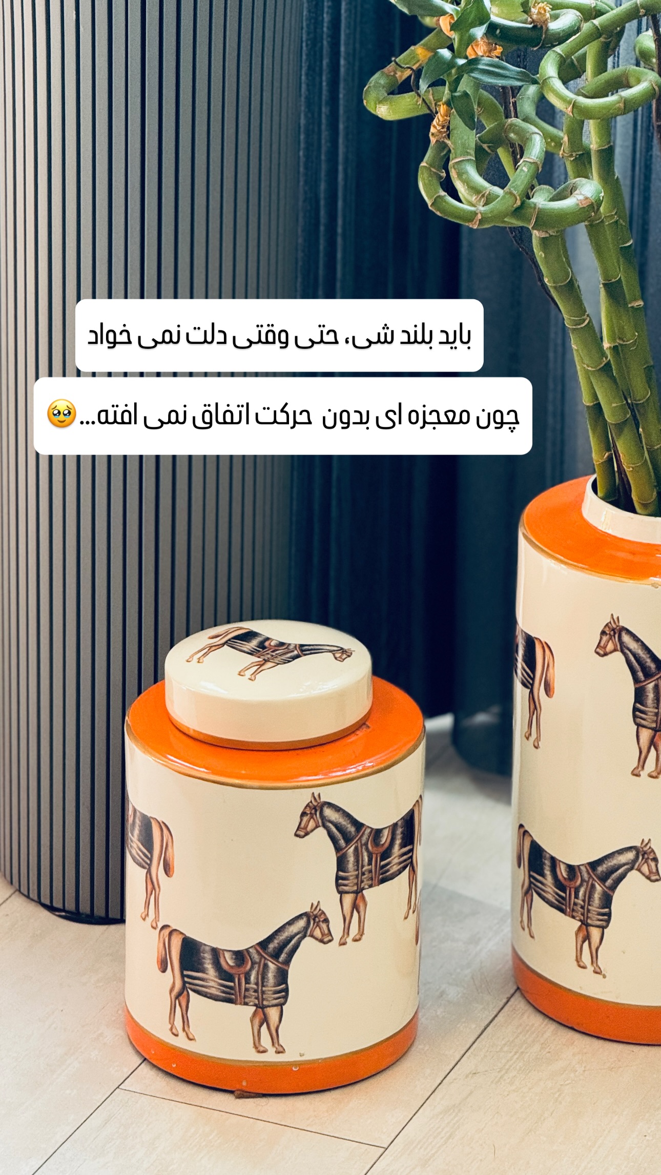  جدید ترین استوری اینستاگرام شیوا نصرتی