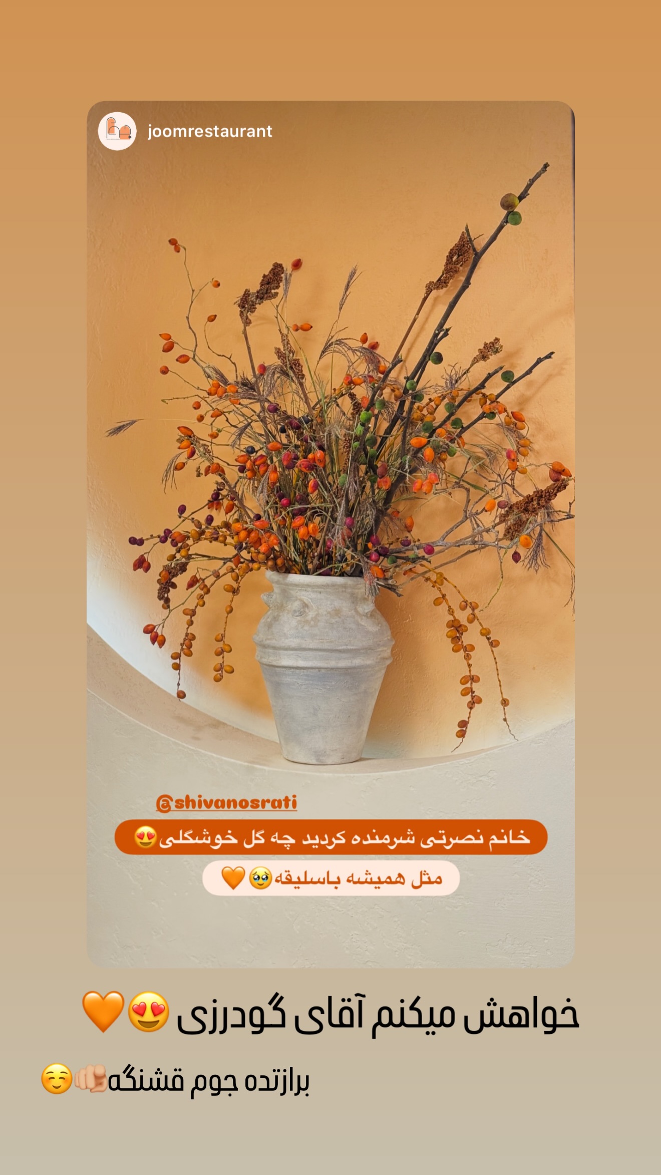  جدید ترین استوری اینستاگرام شیوا نصرتی