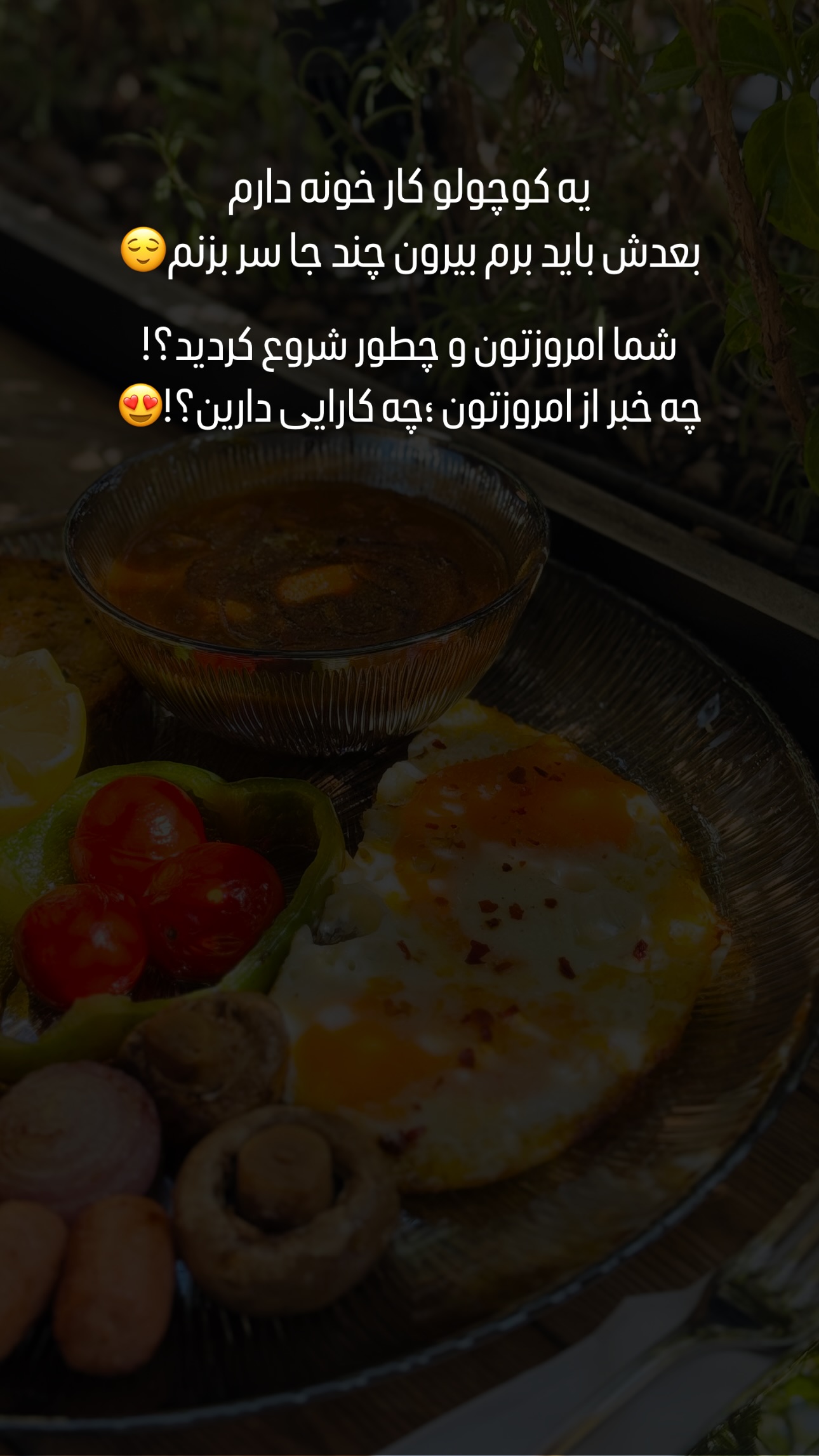  جدید ترین استوری اینستاگرام شیوا نصرتی