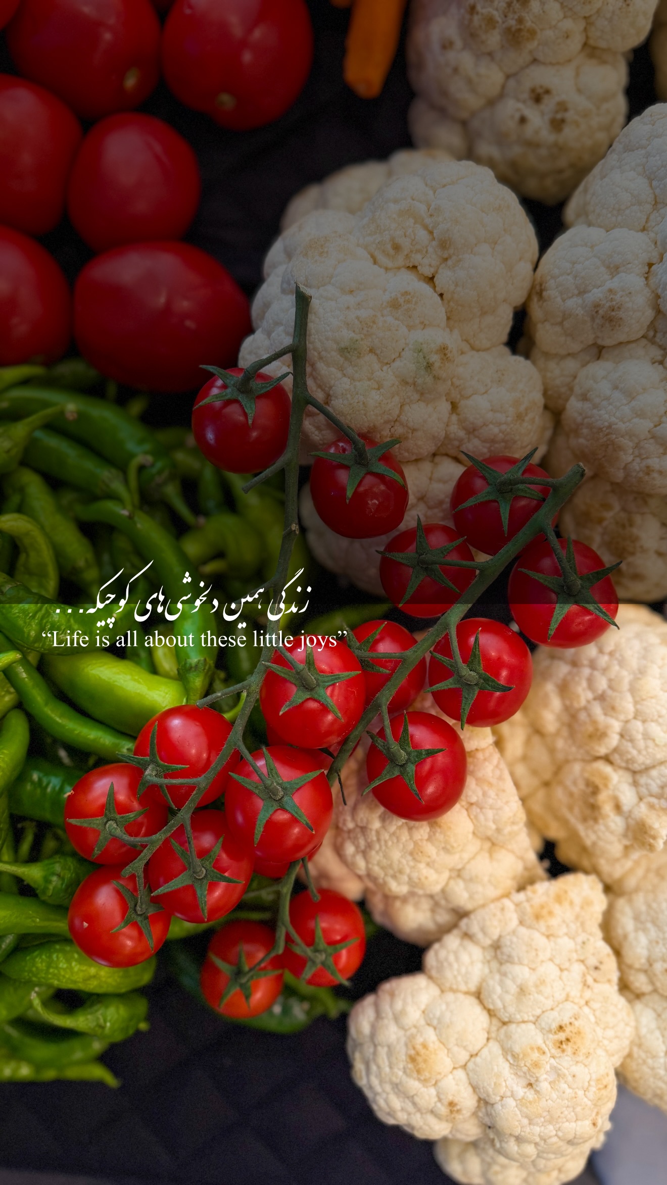  جدید ترین استوری اینستاگرام شیوا نصرتی