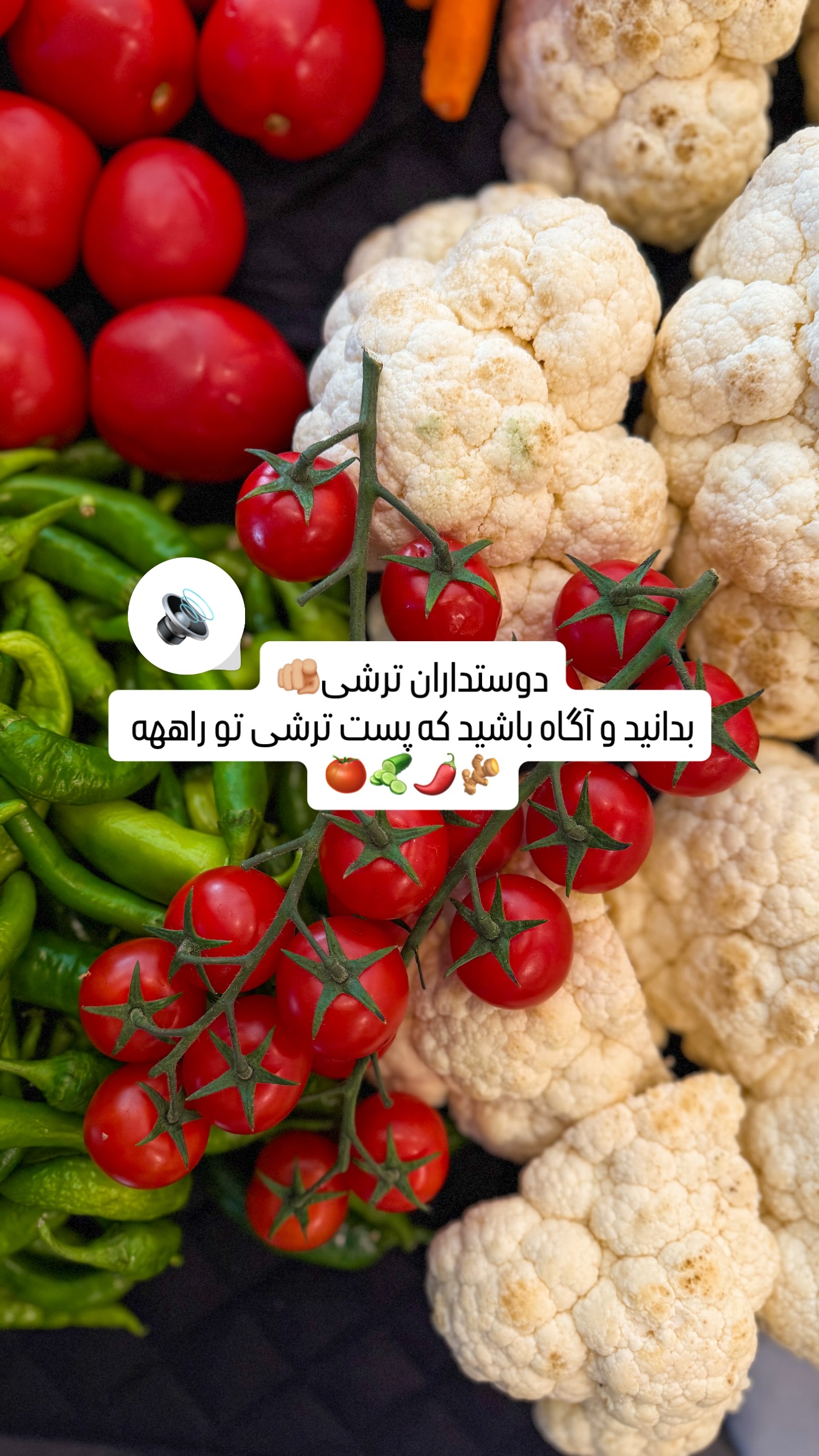  جدید ترین استوری اینستاگرام شیوا نصرتی