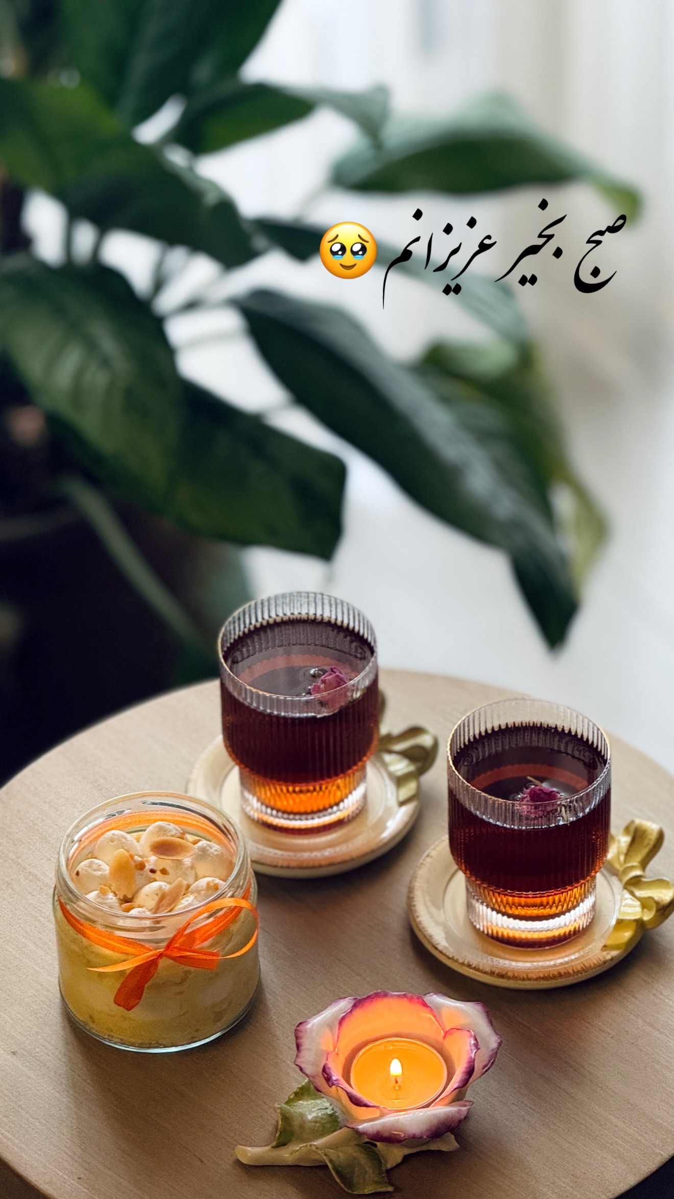  جدید ترین استوری اینستاگرام شیوا نصرتی