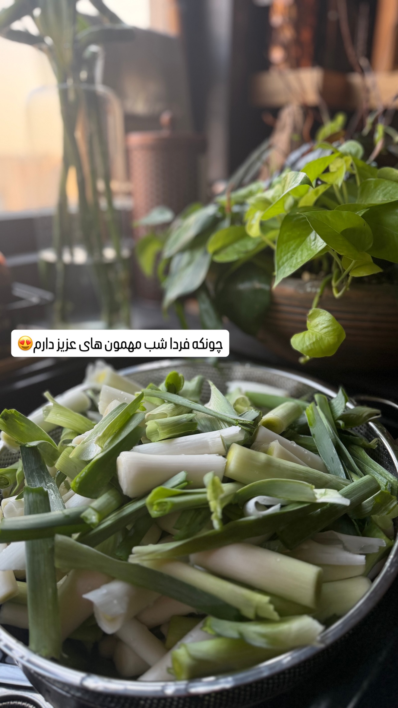  جدید ترین استوری اینستاگرام شیوا نصرتی