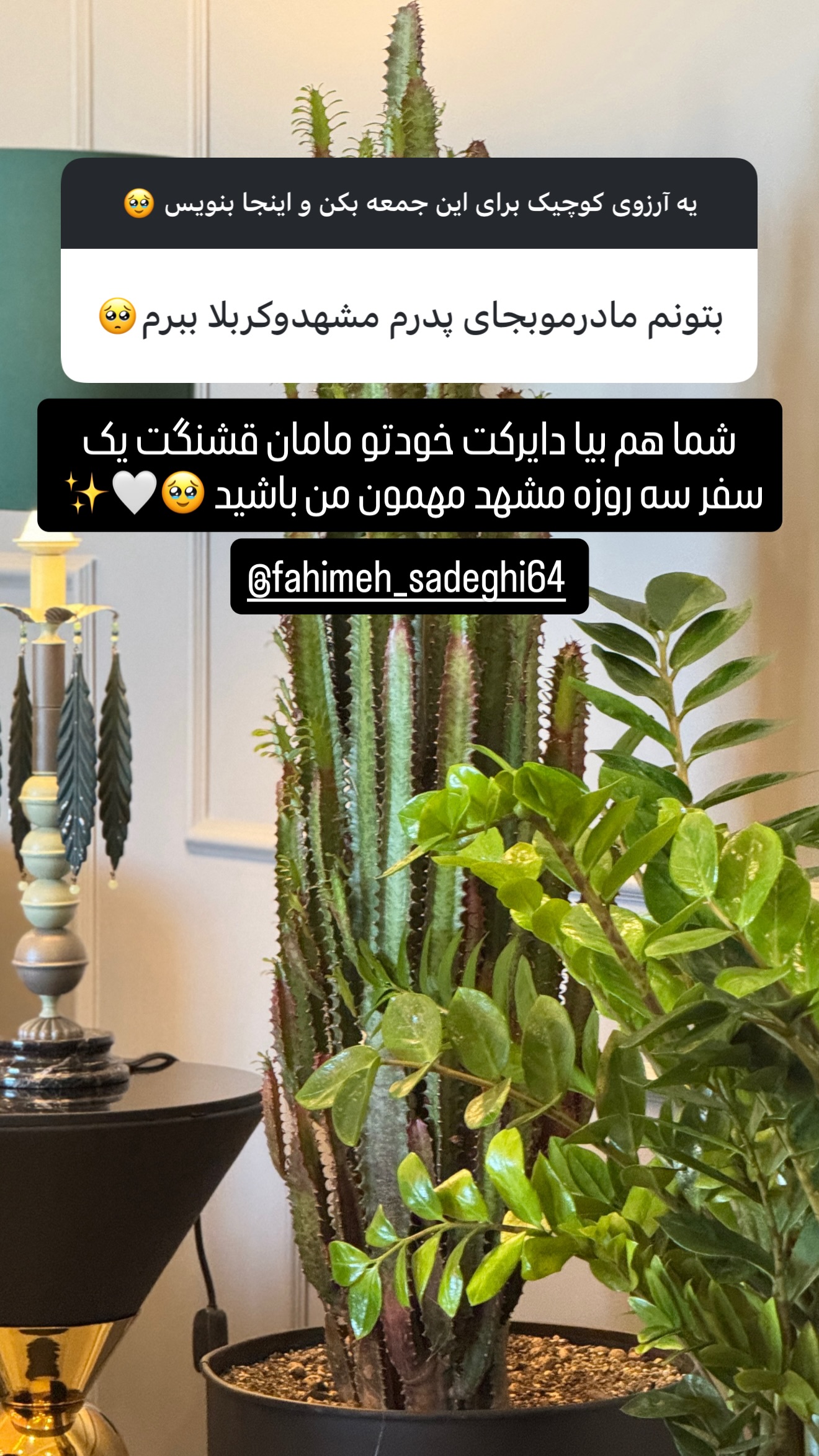  جدید ترین استوری اینستاگرام شیوا نصرتی