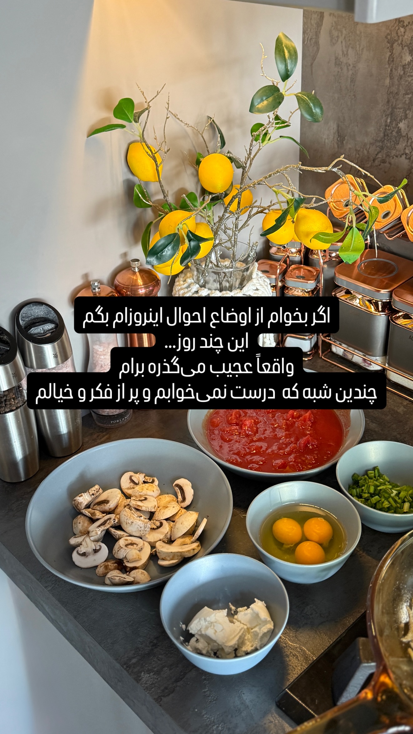  جدید ترین استوری اینستاگرام شیوا نصرتی