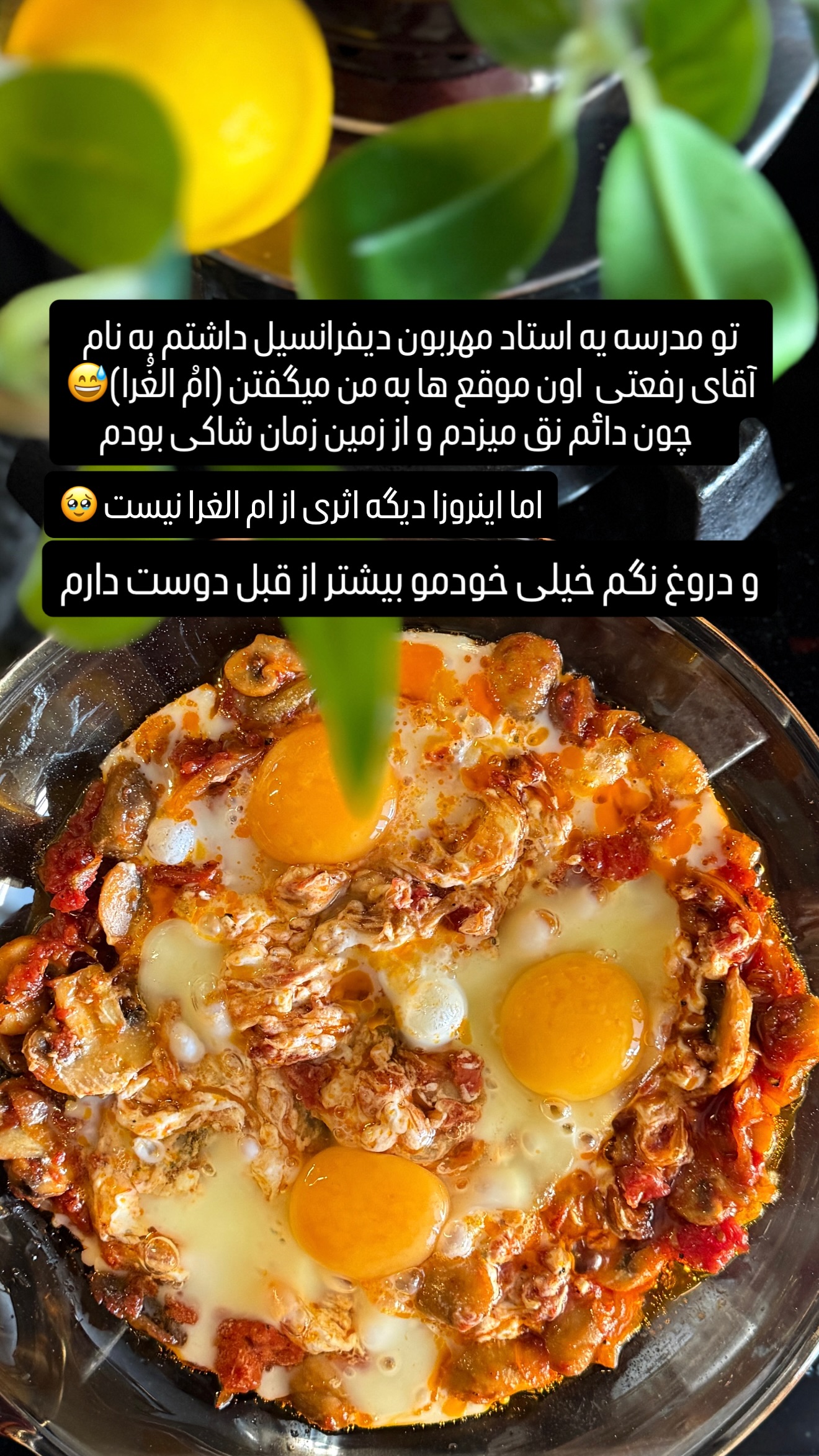  جدید ترین استوری اینستاگرام شیوا نصرتی
