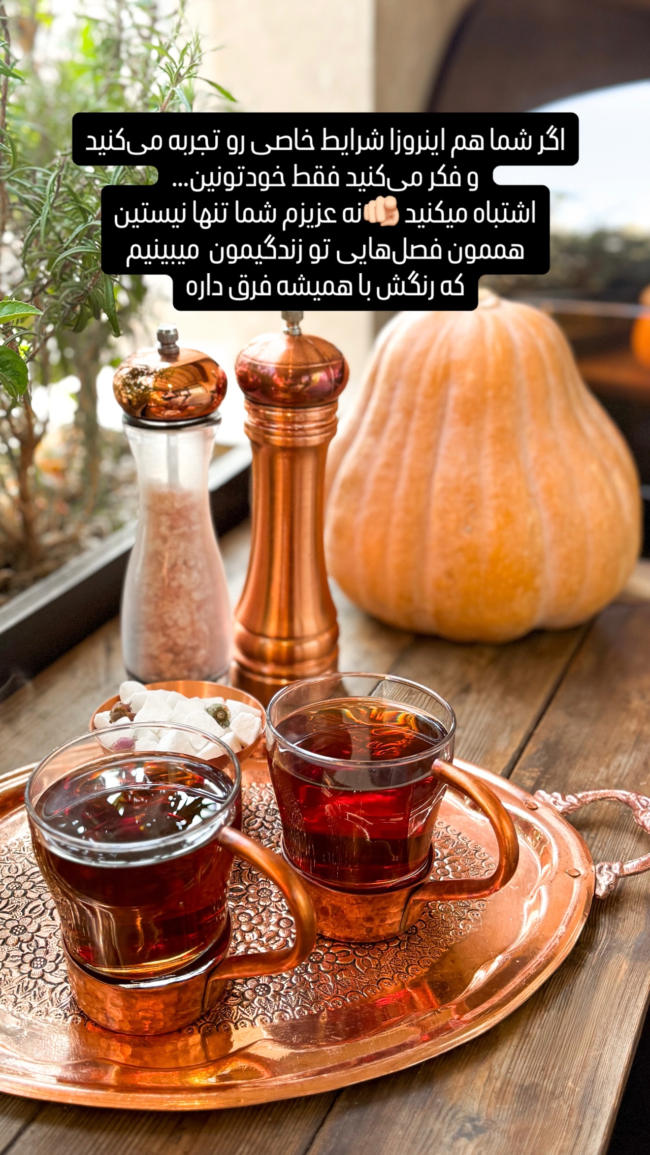  جدید ترین استوری اینستاگرام شیوا نصرتی
