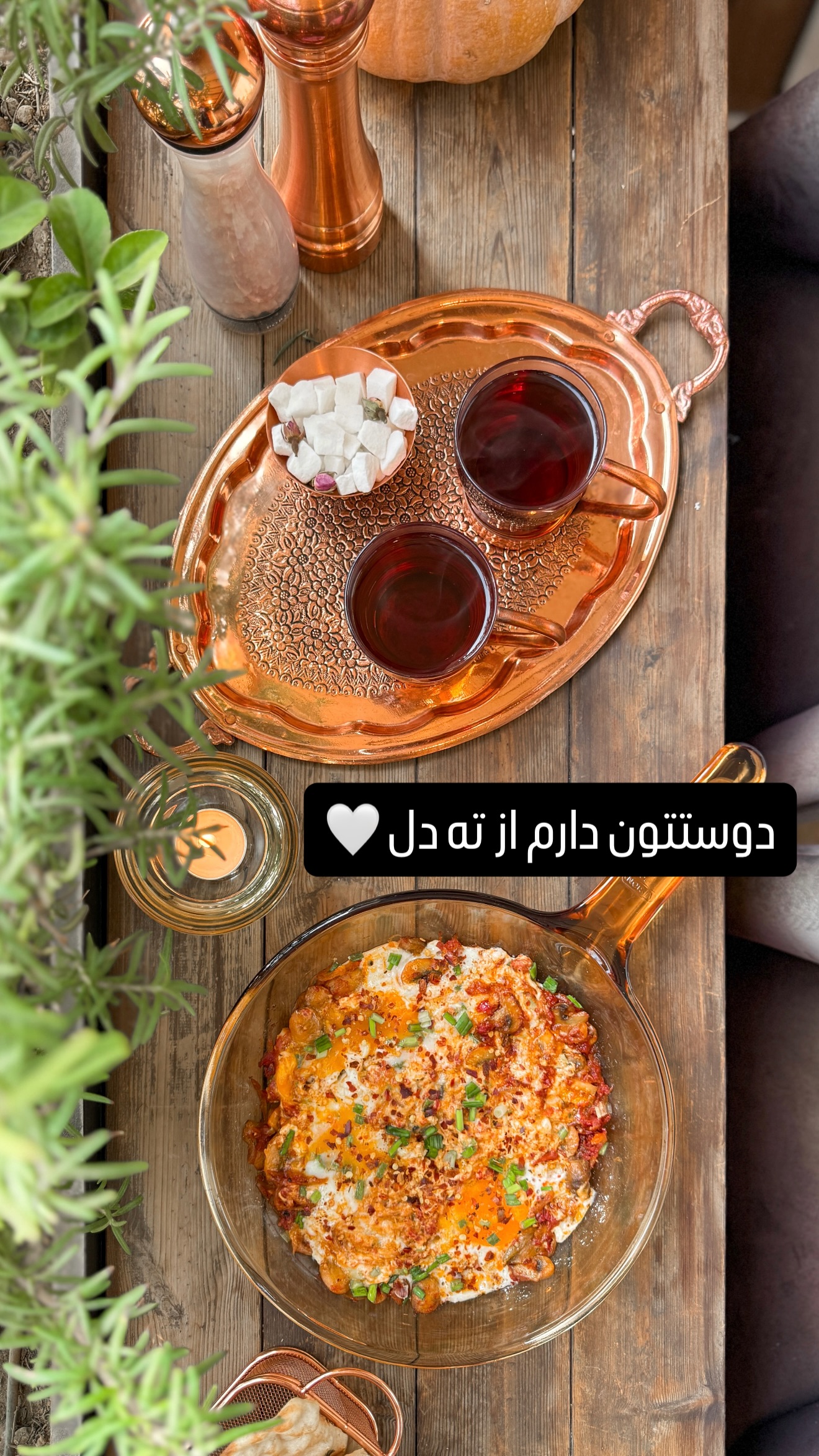  جدید ترین استوری اینستاگرام شیوا نصرتی