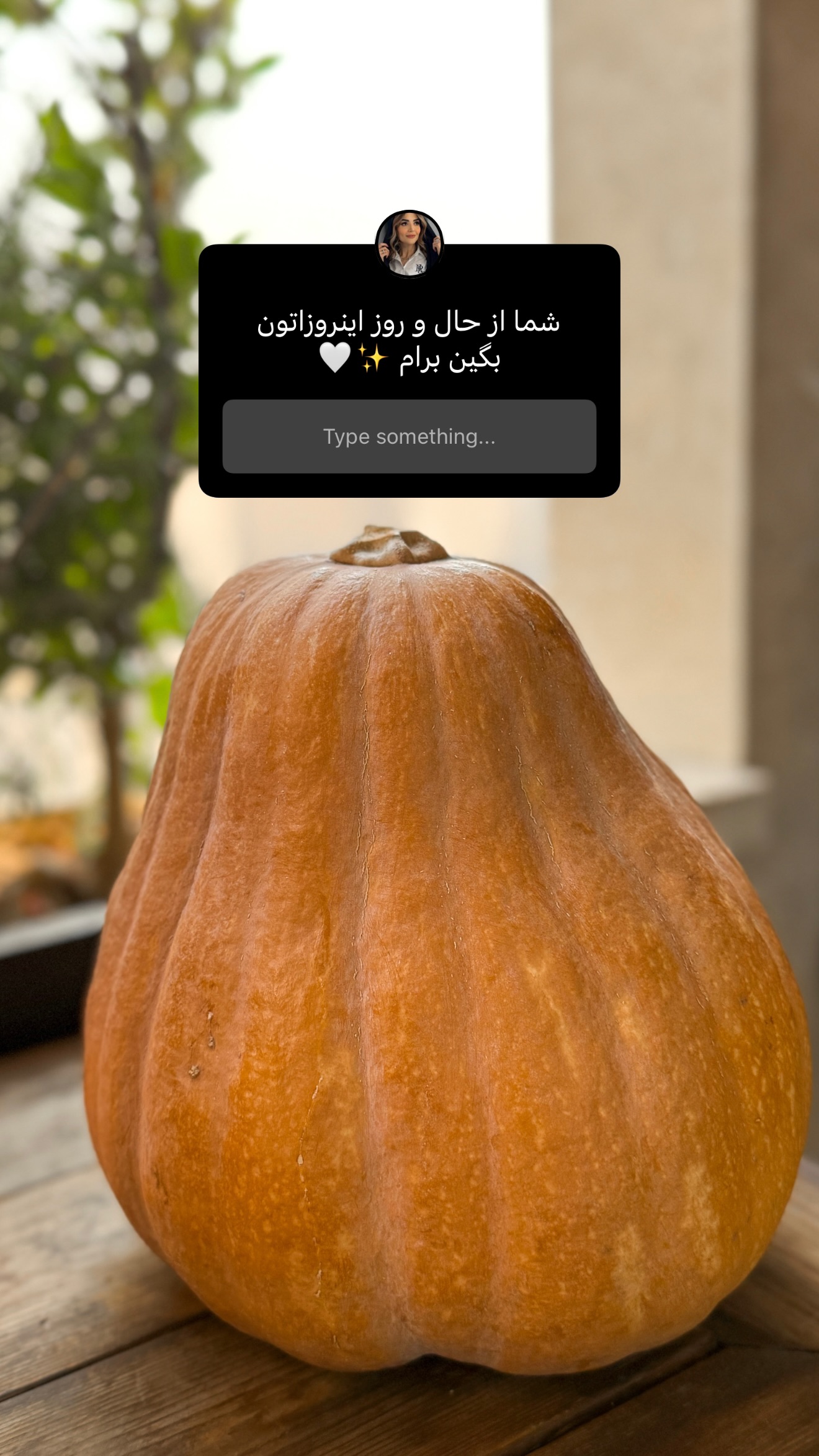  جدید ترین استوری اینستاگرام شیوا نصرتی