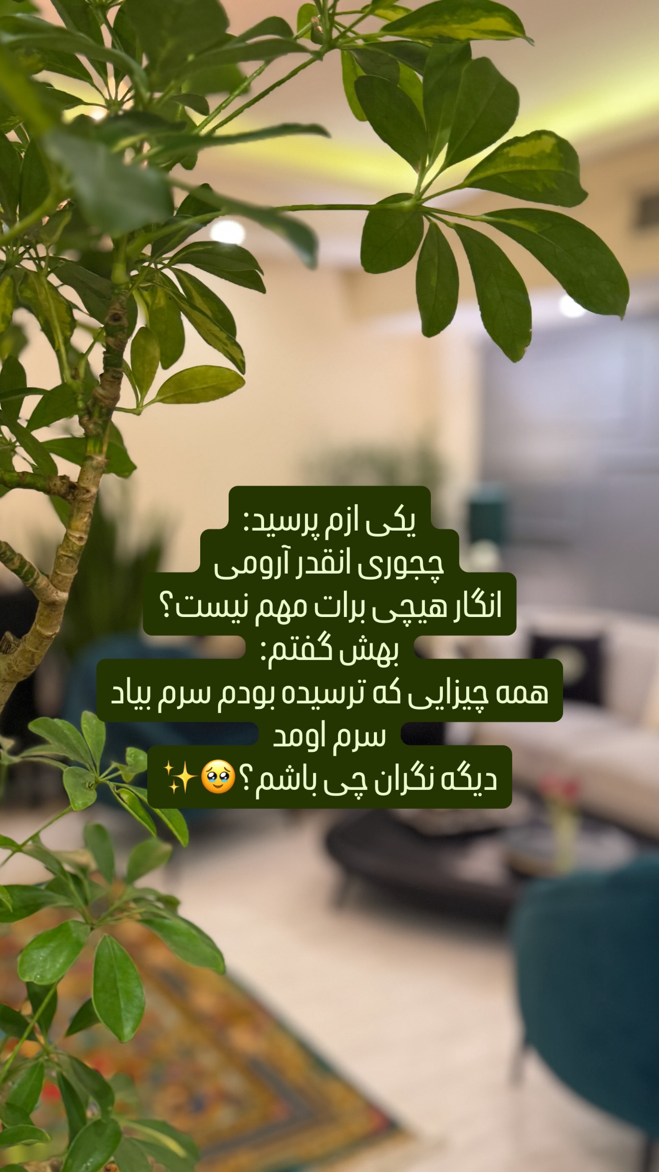  جدید ترین استوری اینستاگرام شیوا نصرتی