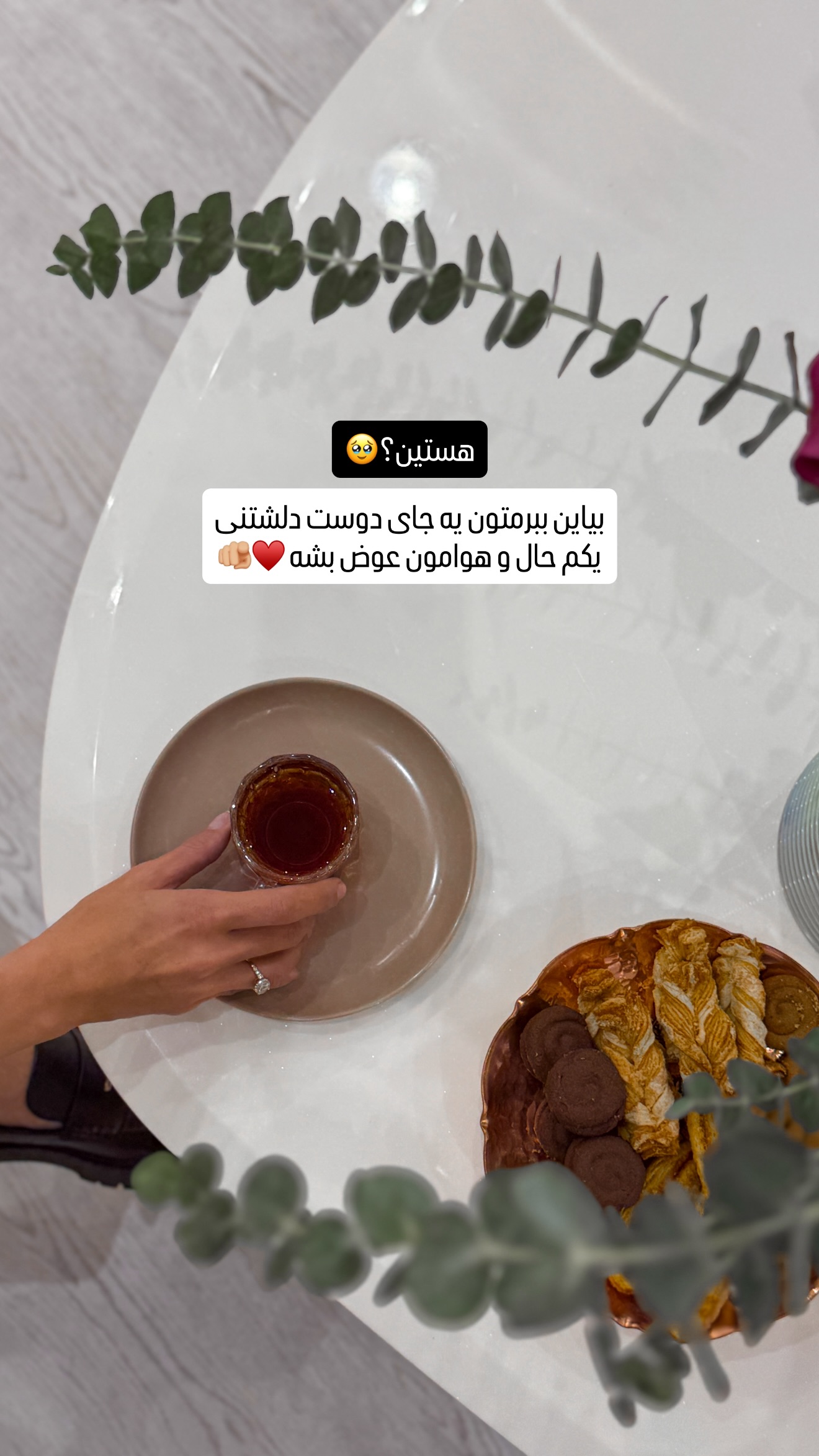  جدید ترین استوری اینستاگرام شیوا نصرتی