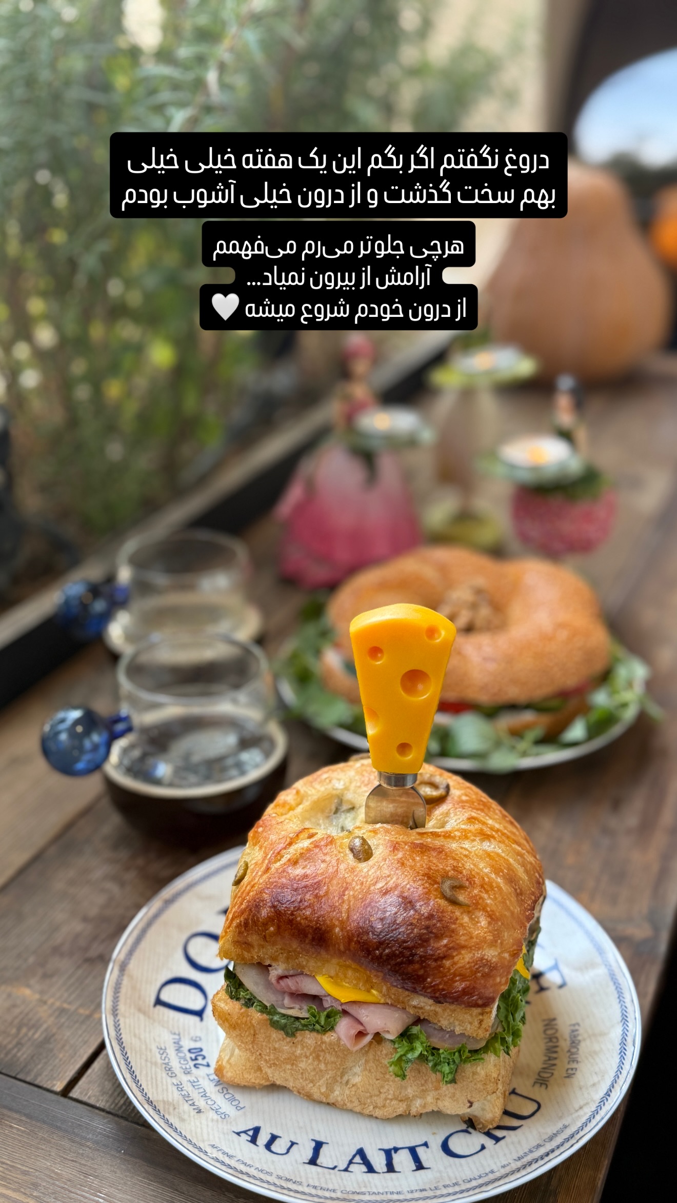  جدید ترین استوری اینستاگرام شیوا نصرتی
