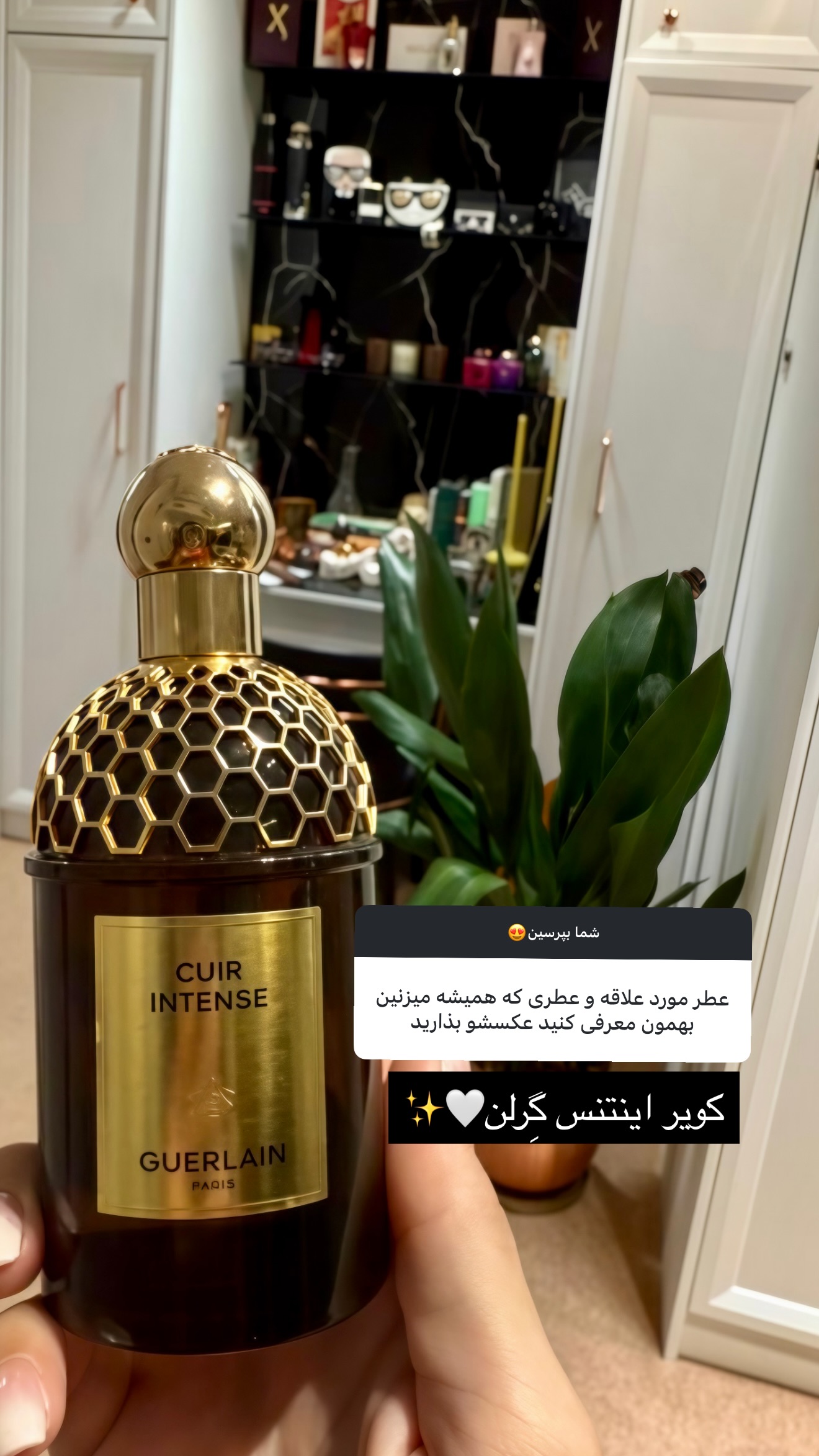  جدید ترین استوری اینستاگرام شیوا نصرتی
