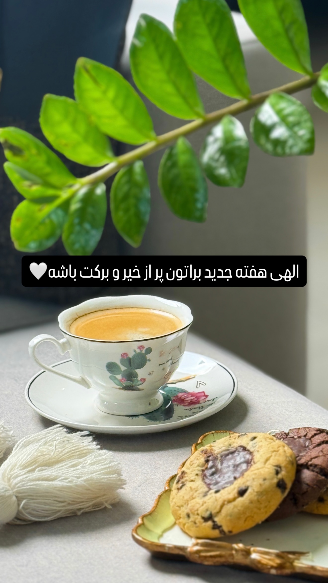  جدید ترین استوری اینستاگرام شیوا نصرتی