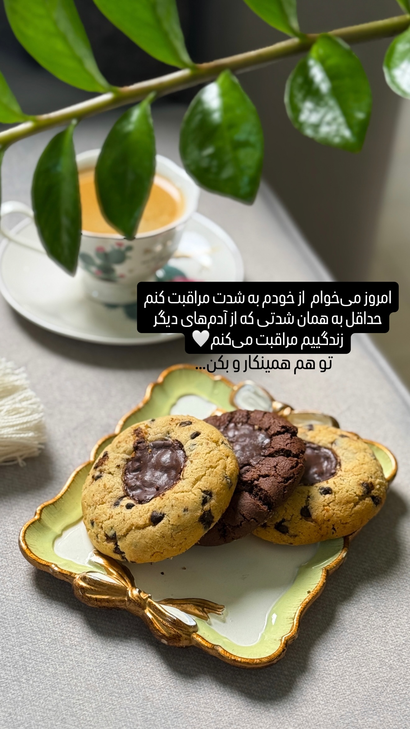  جدید ترین استوری اینستاگرام شیوا نصرتی