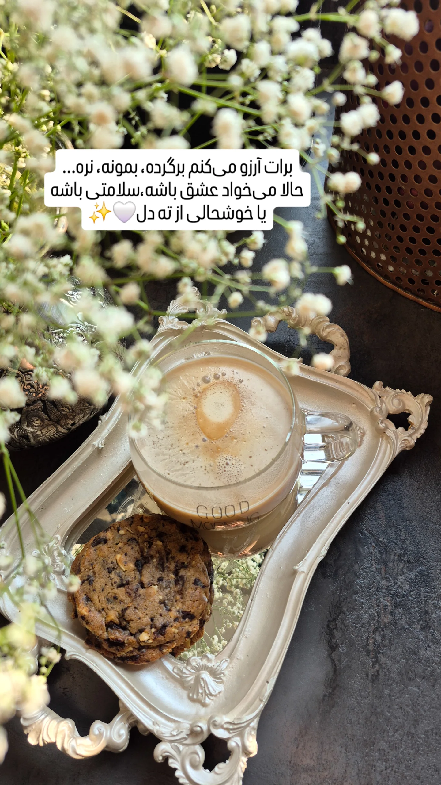 جدید ترین استوری اینستاگرام شیوا نصرتی